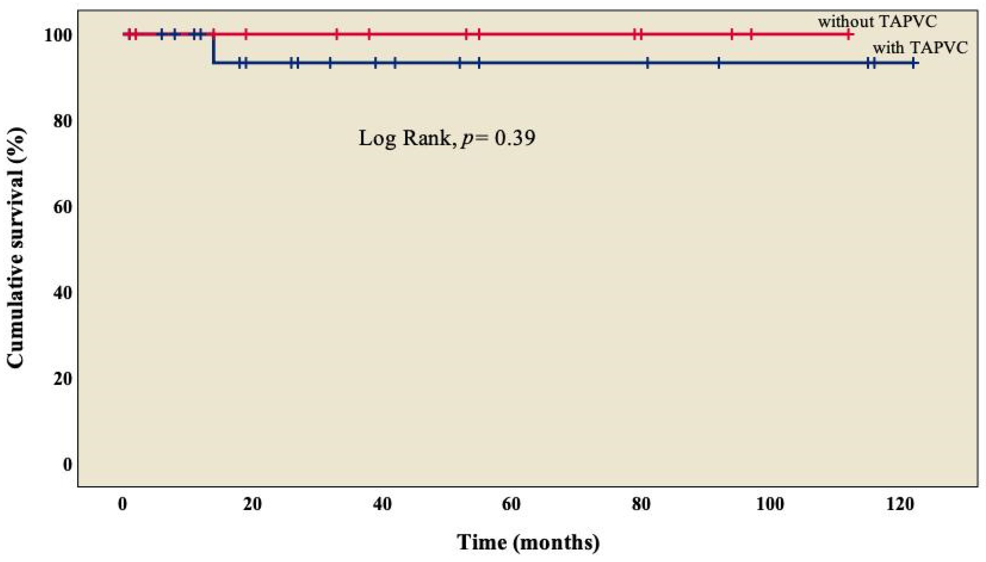Diseases 11 00170 g002