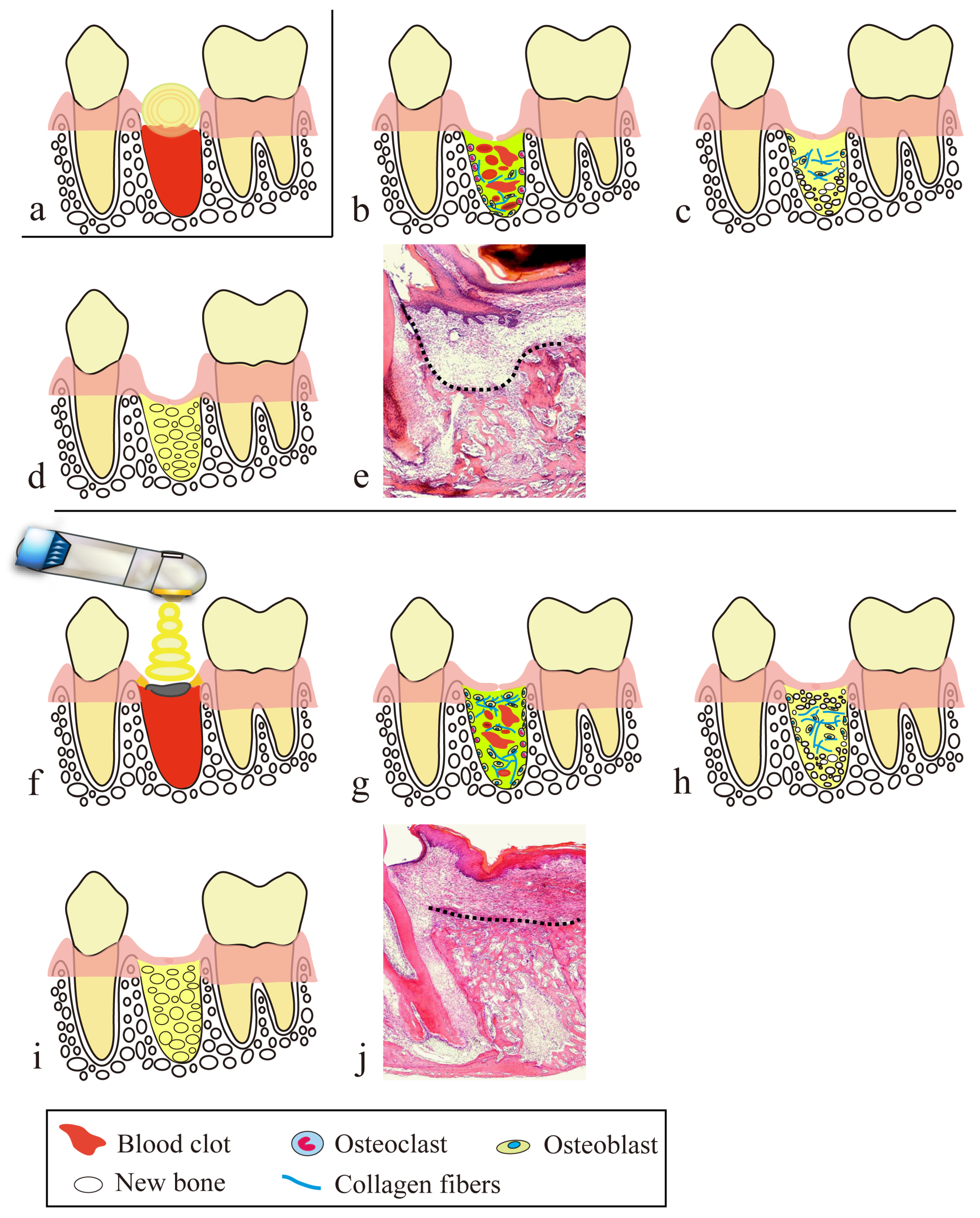 Diseases 11 00172 g006