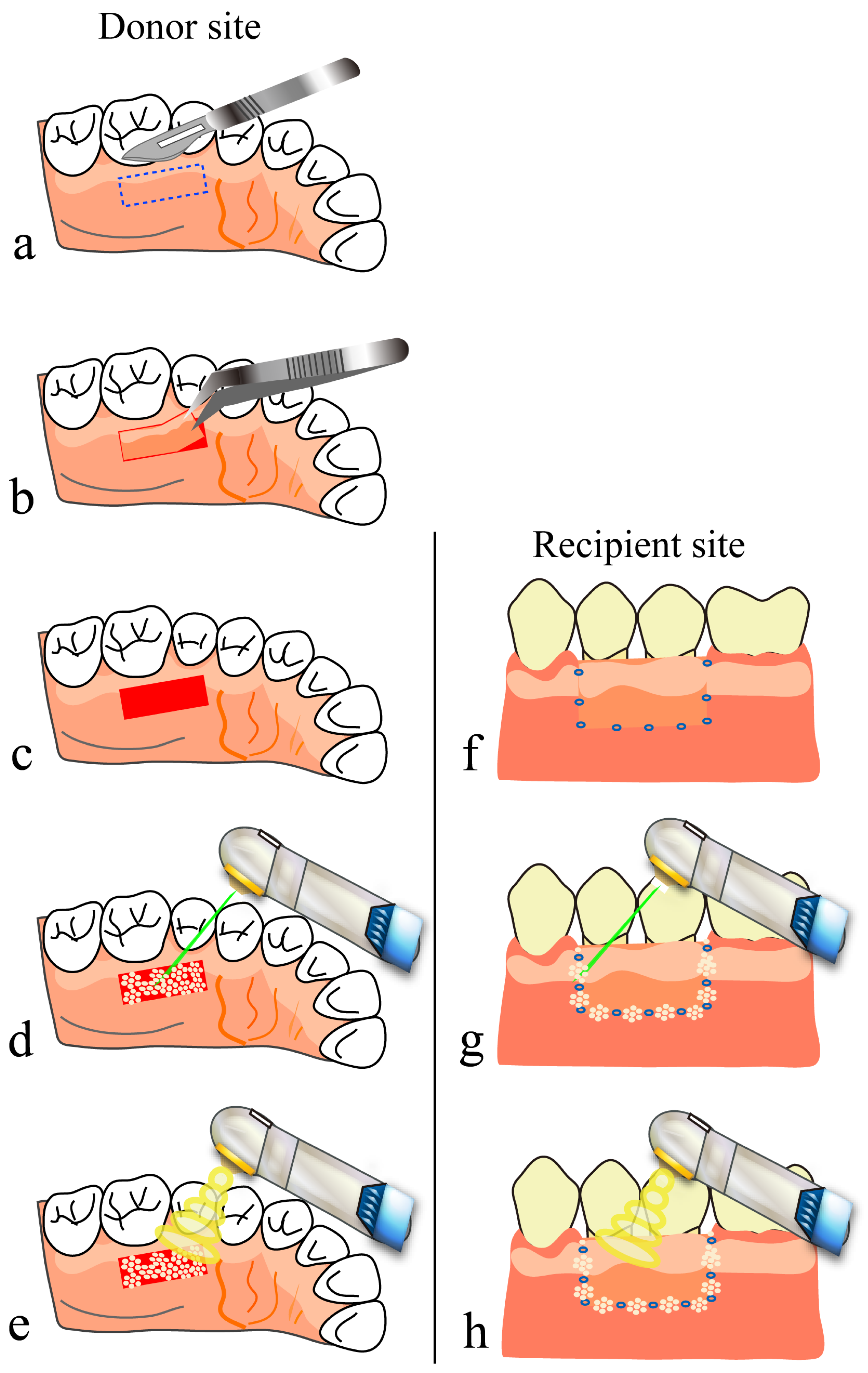 Diseases 11 00172 g007