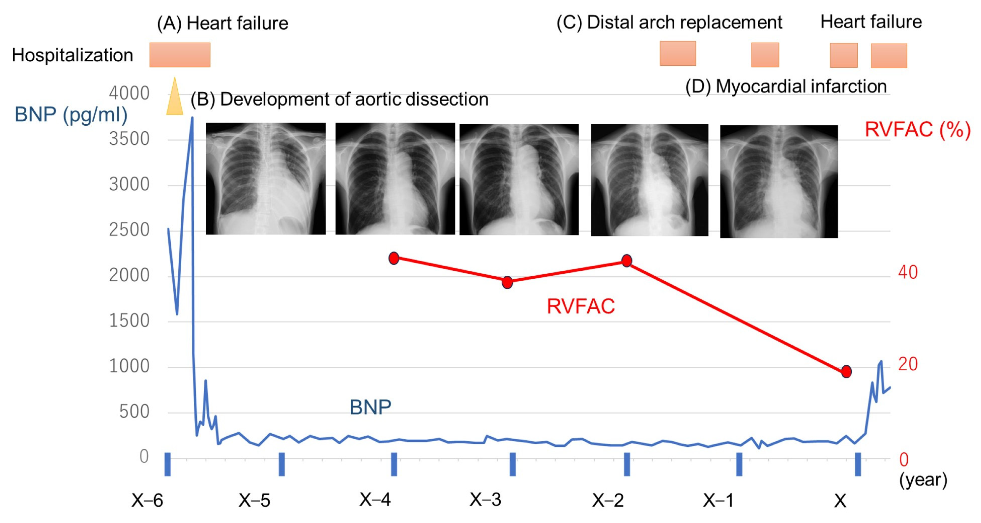 Diseases 11 00178 g001