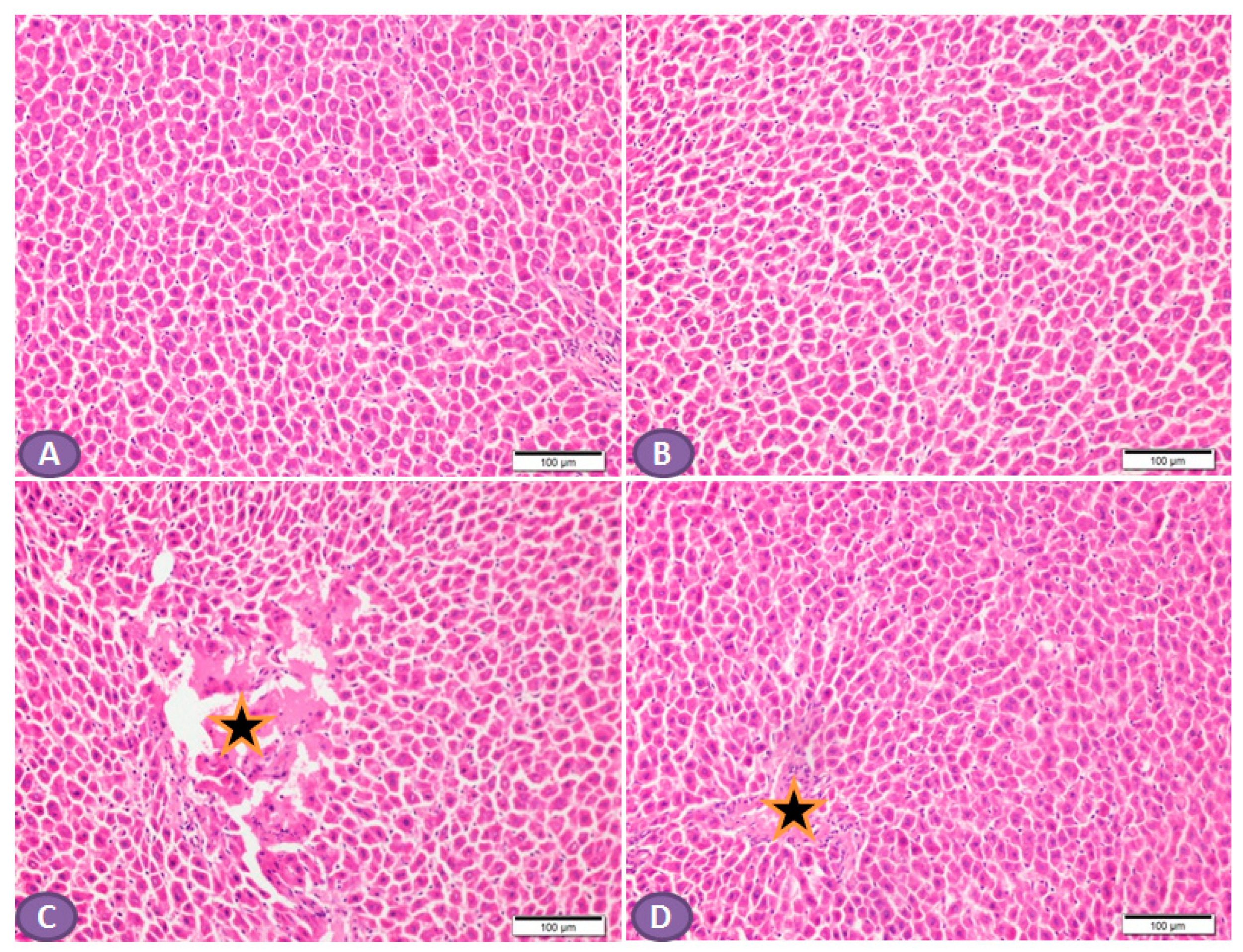 Diseases 11 00184 g004
