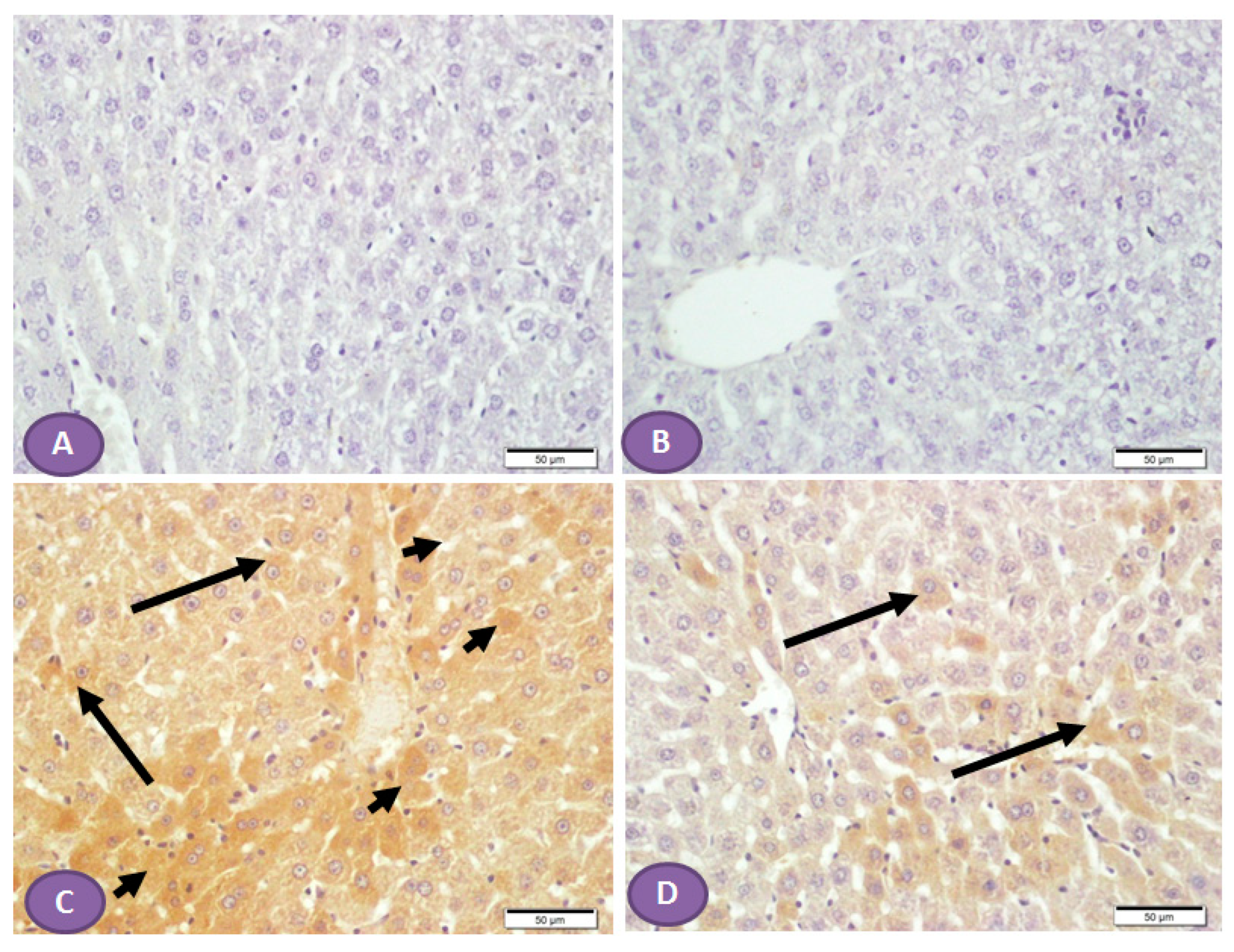 Diseases 11 00184 g008