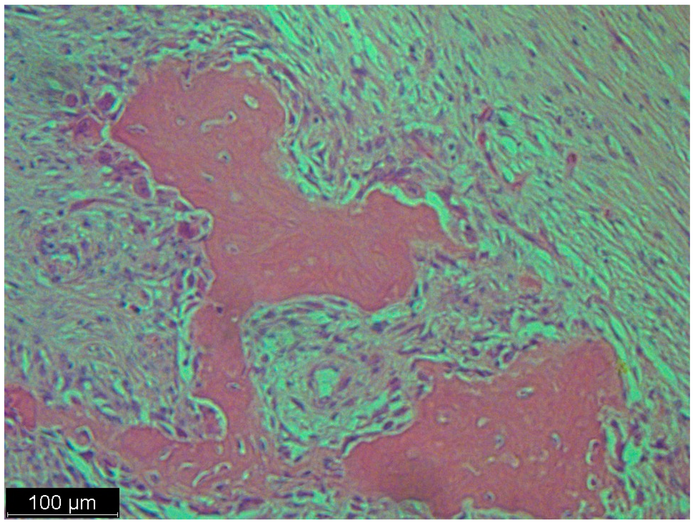 Diseases 12 00006 g005