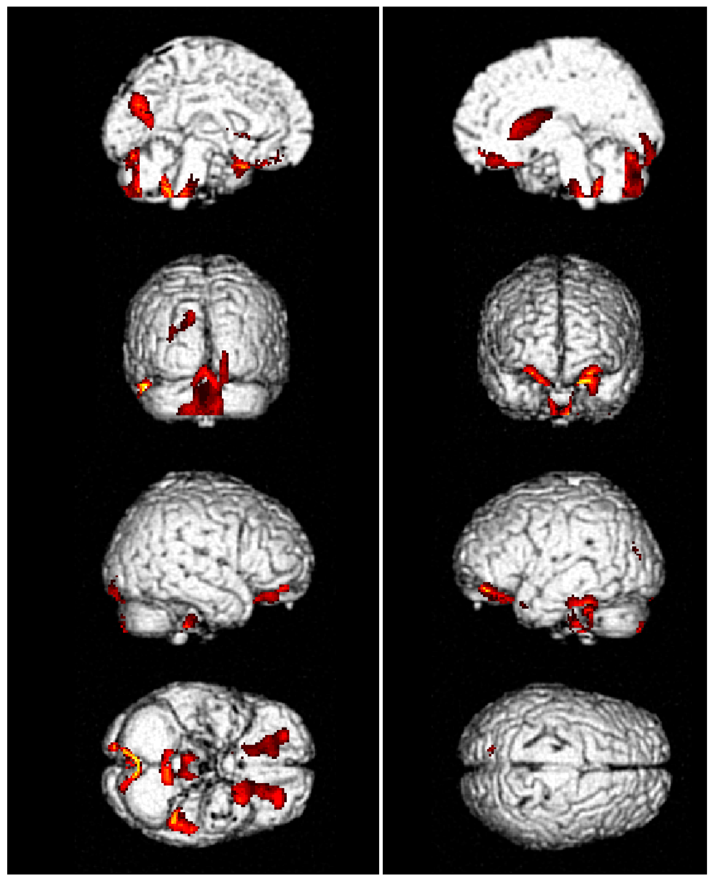 Diseases 12 00009 g001