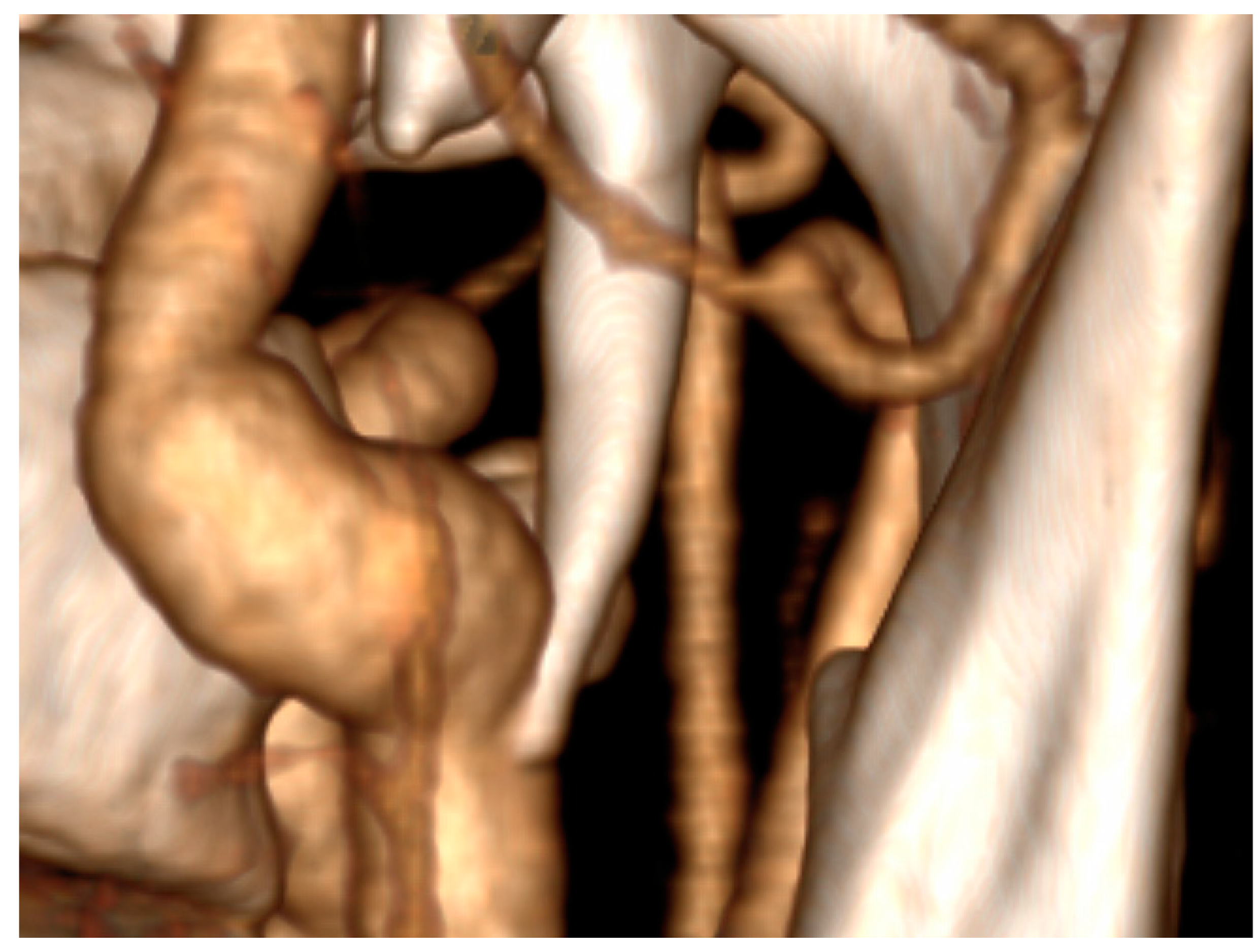 Diseases 12 00024 g002 Diseases 12 00024 g002