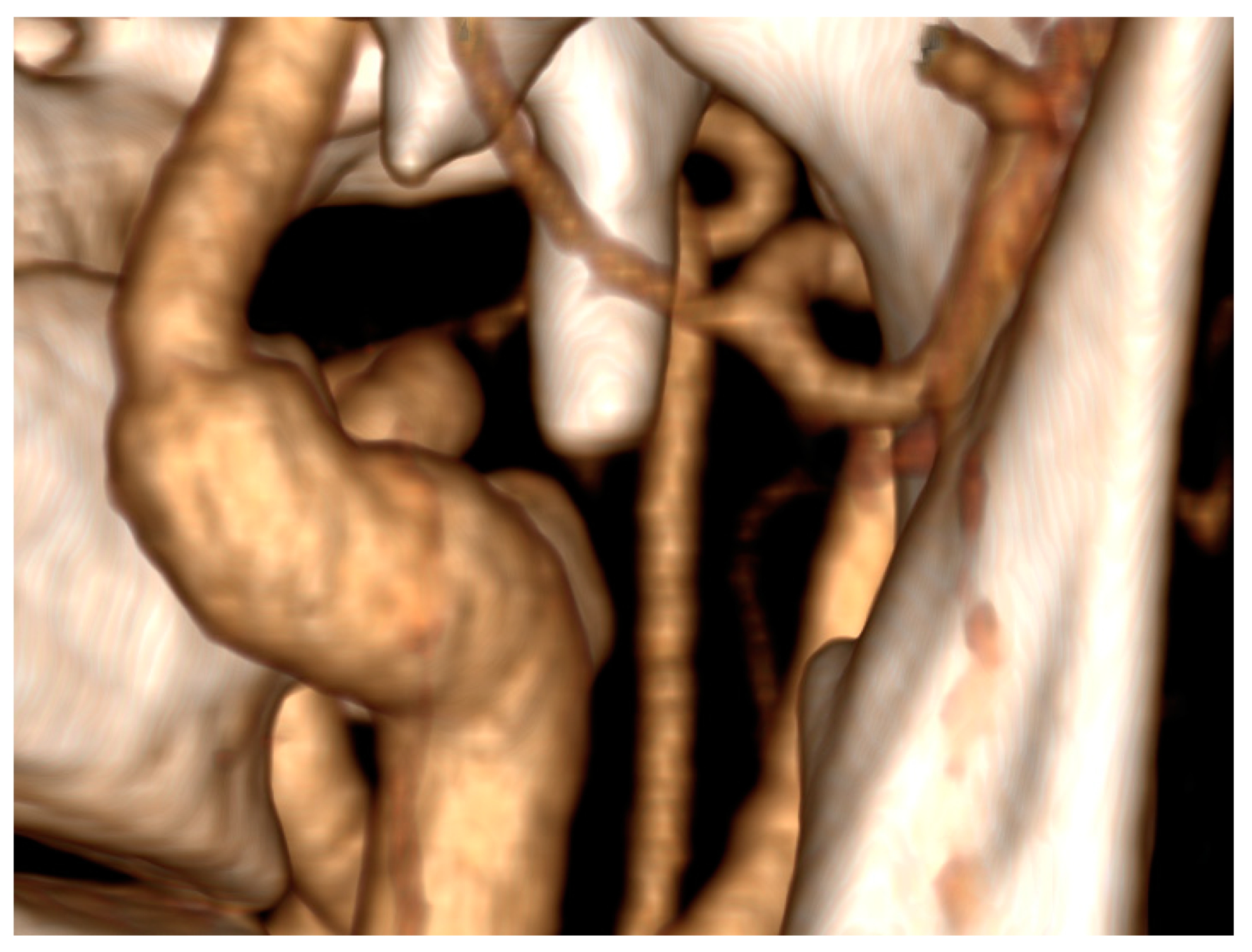 Diseases 12 00024 g004 Diseases 12 00024 g004