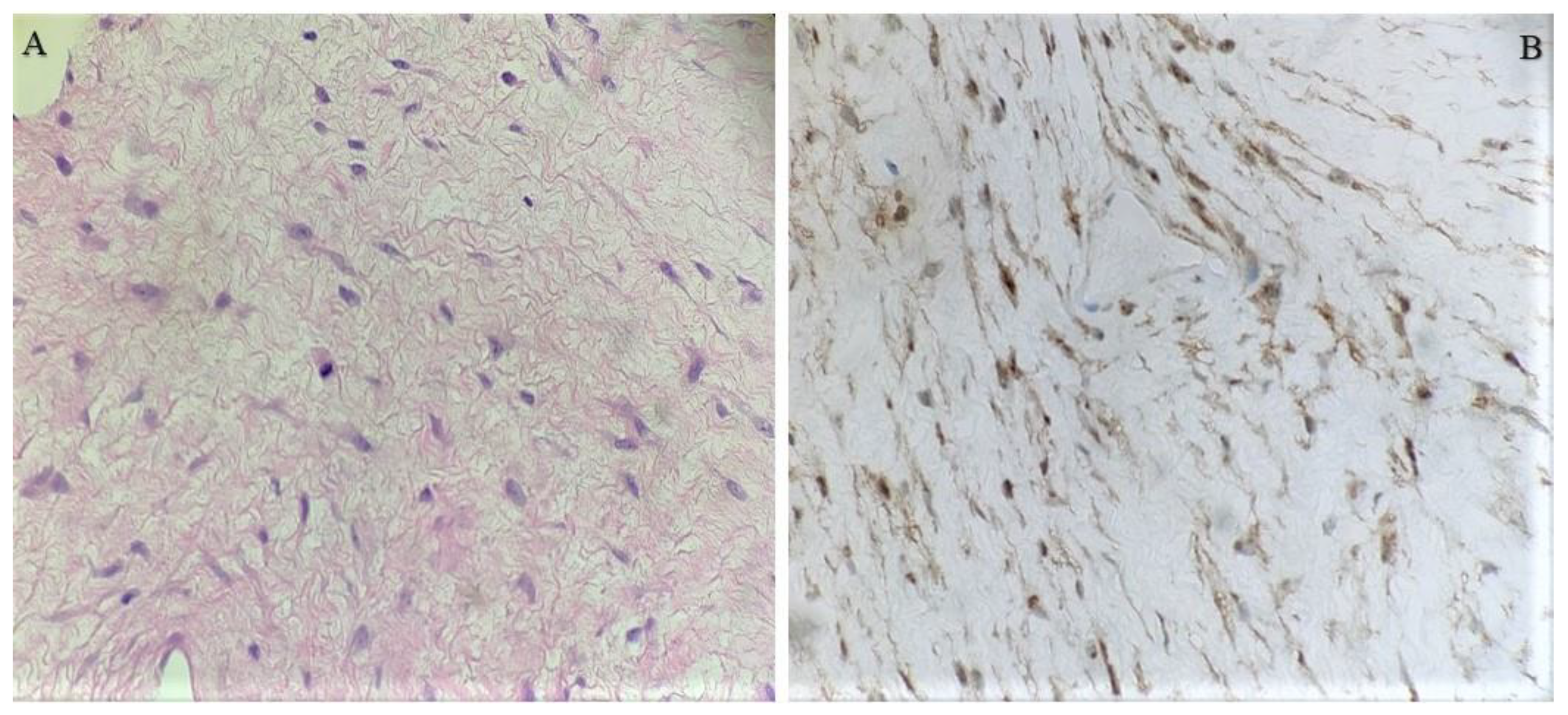 Diseases 12 00027 g003 Diseases 12 00027 g003