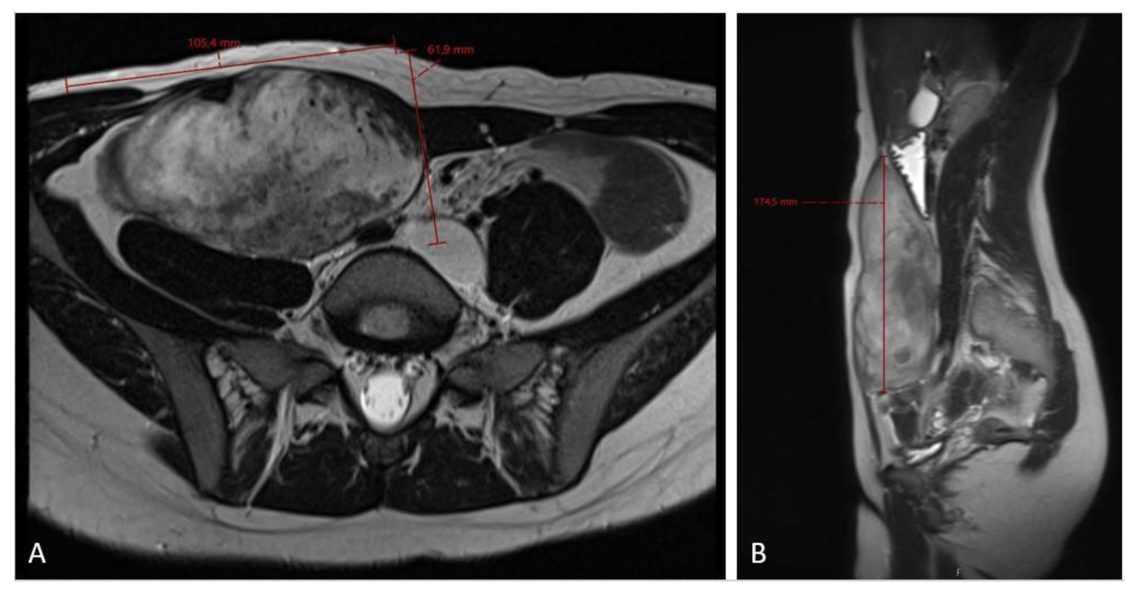 Diseases 12 00027 g004 Diseases 12 00027 g004