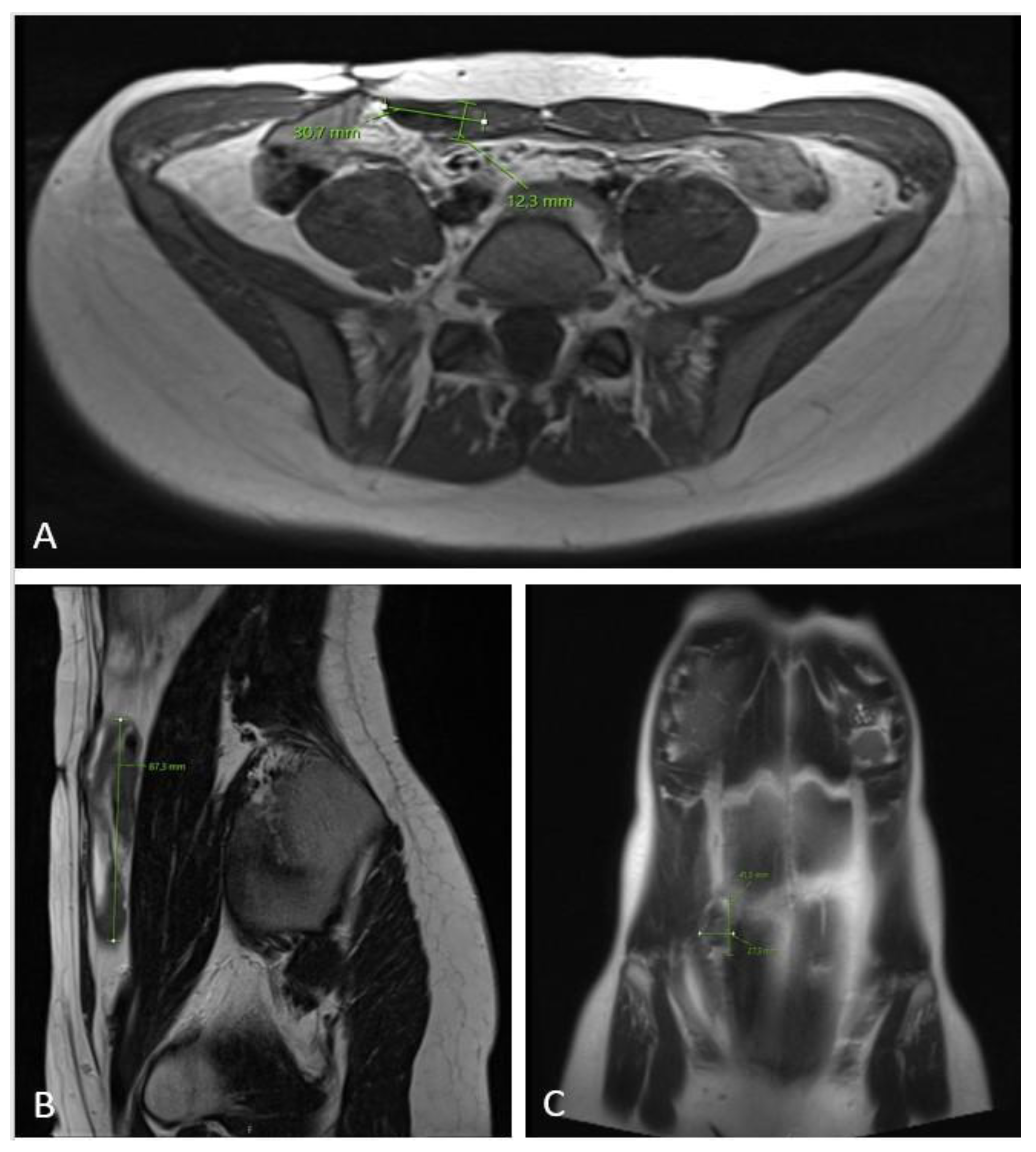 Diseases 12 00027 g006 Diseases 12 00027 g006