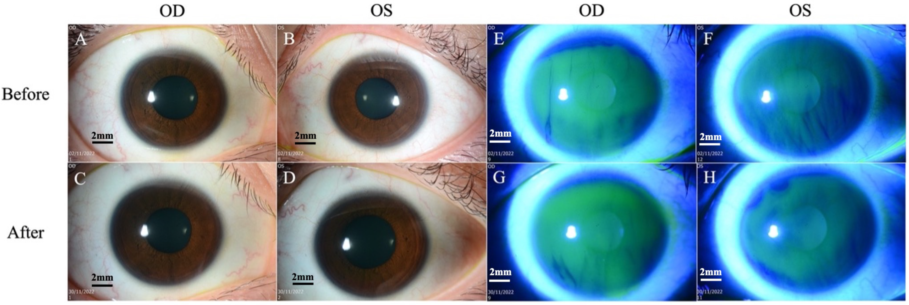 Diseases 12 00037 g001