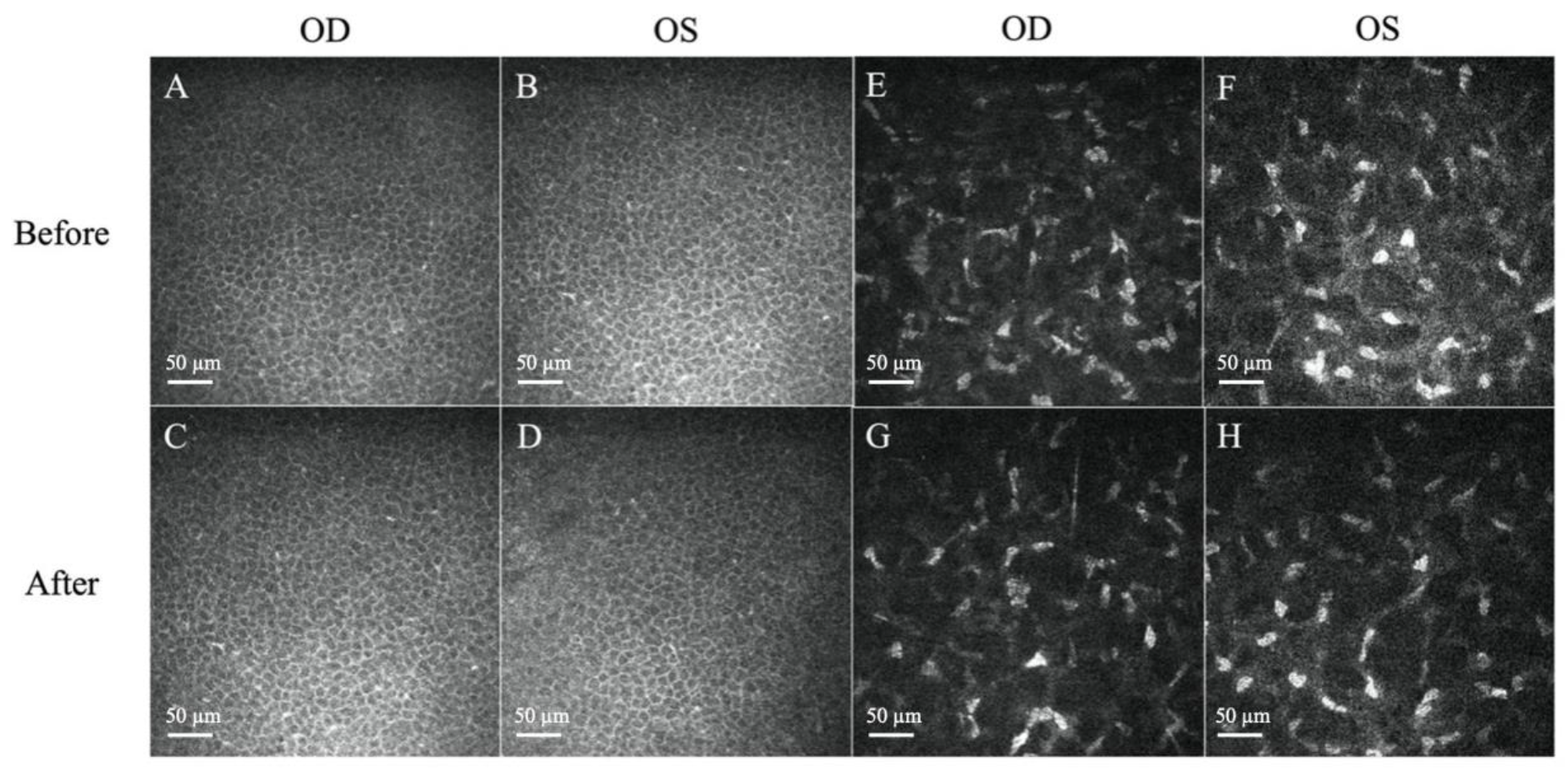 Diseases 12 00037 g003