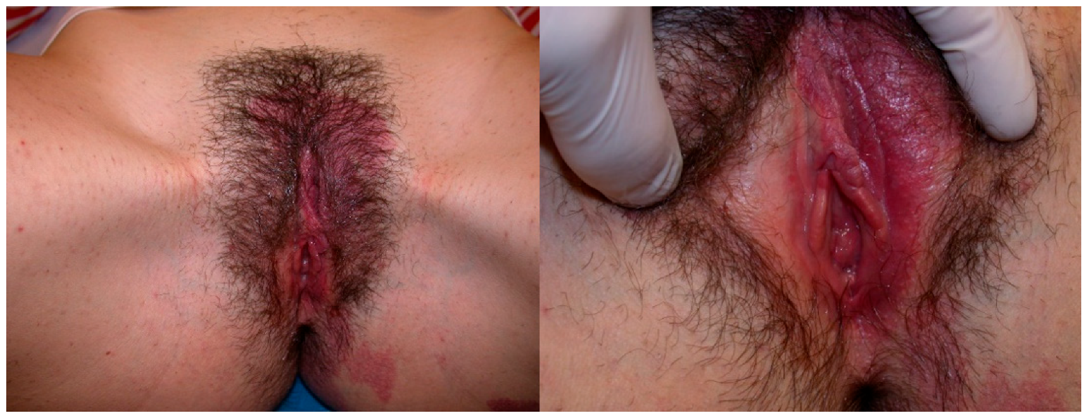 Diseases 12 00048 g001a