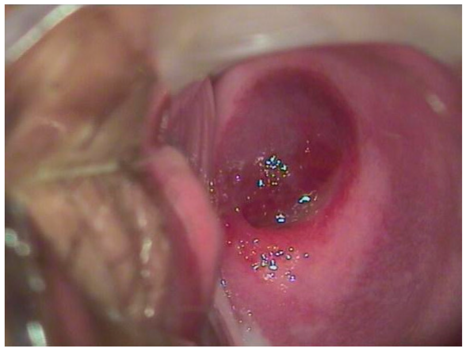 Diseases 12 00048 g003