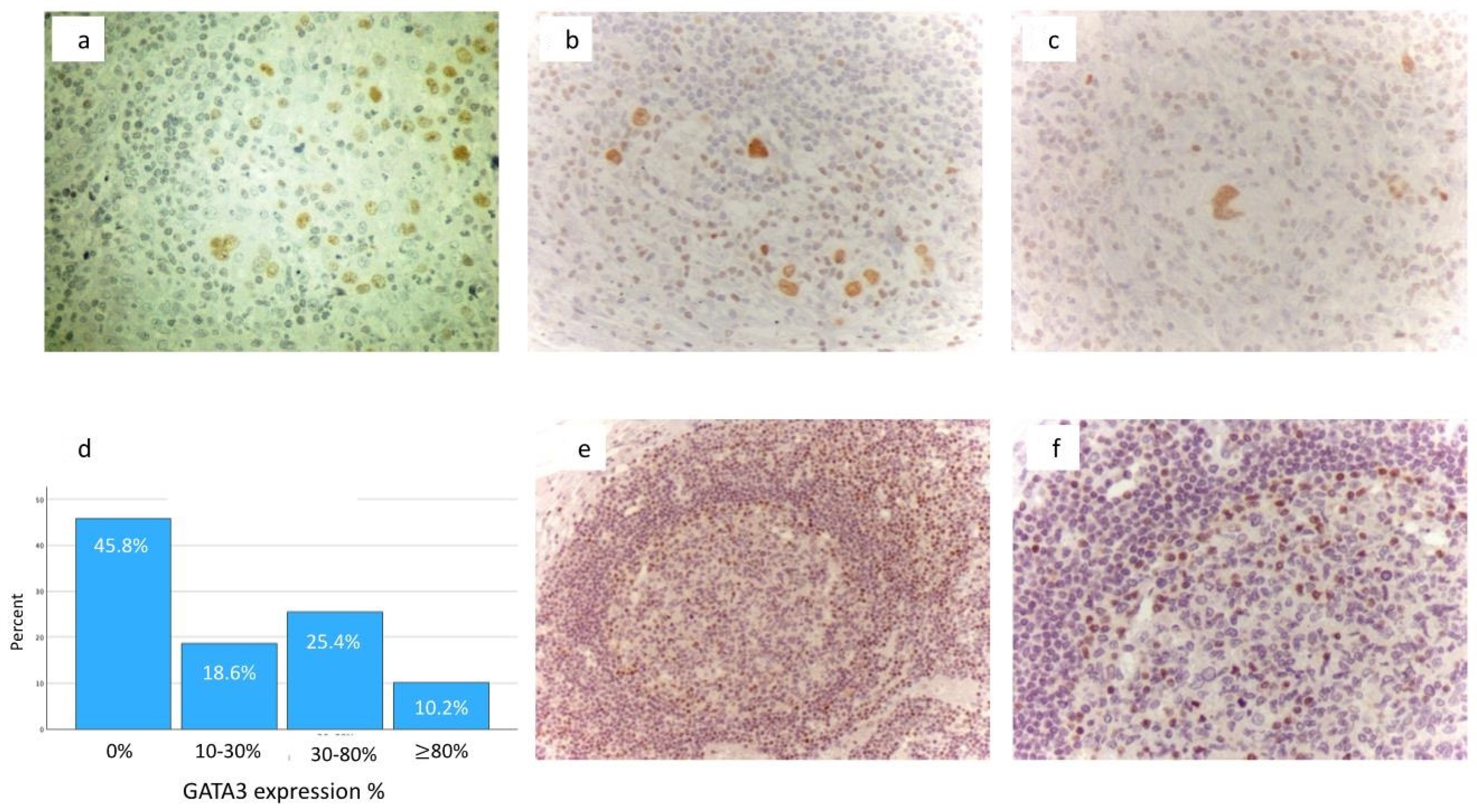 Diseases 12 00051 g001