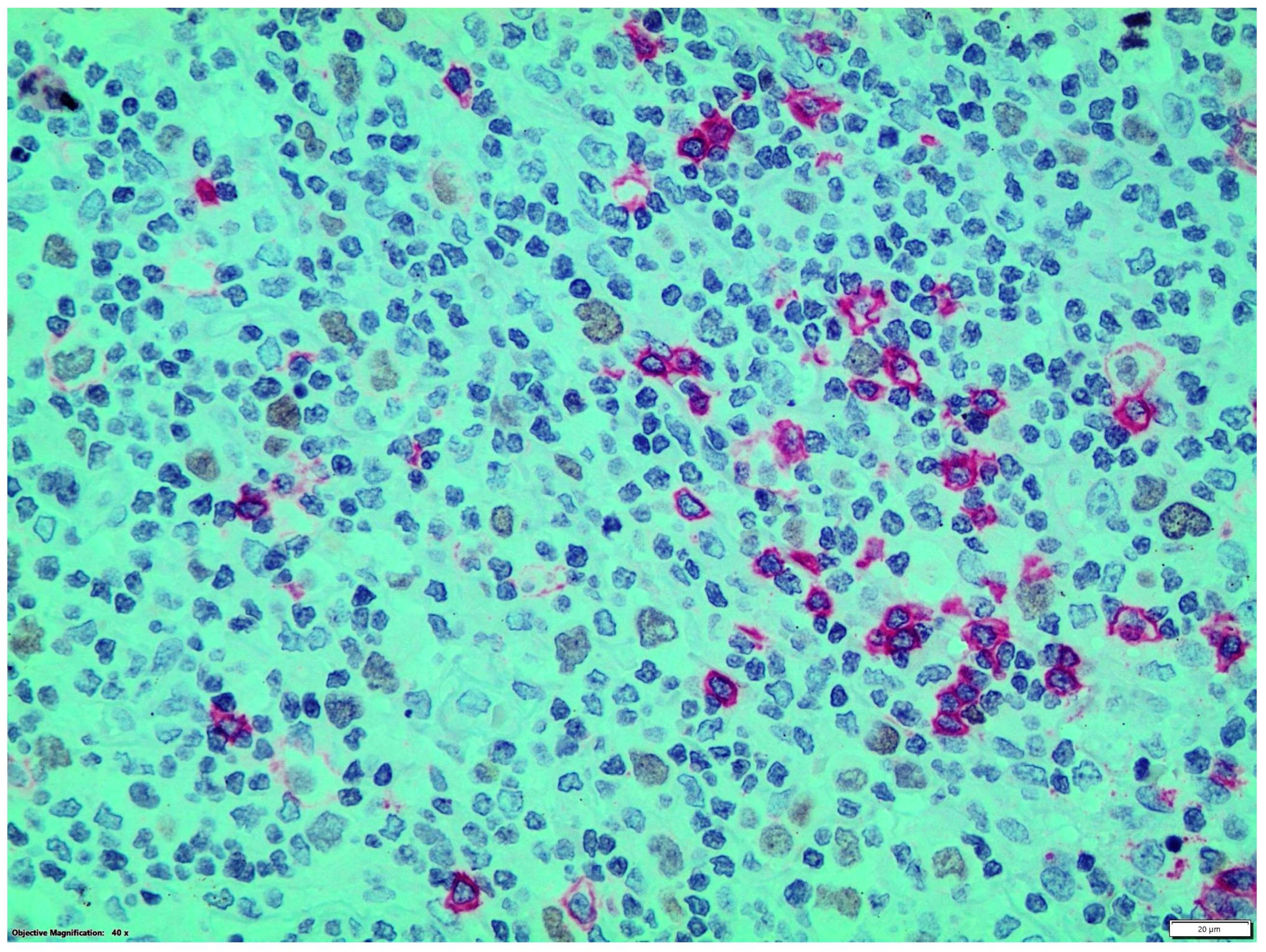 Diseases 12 00051 g002