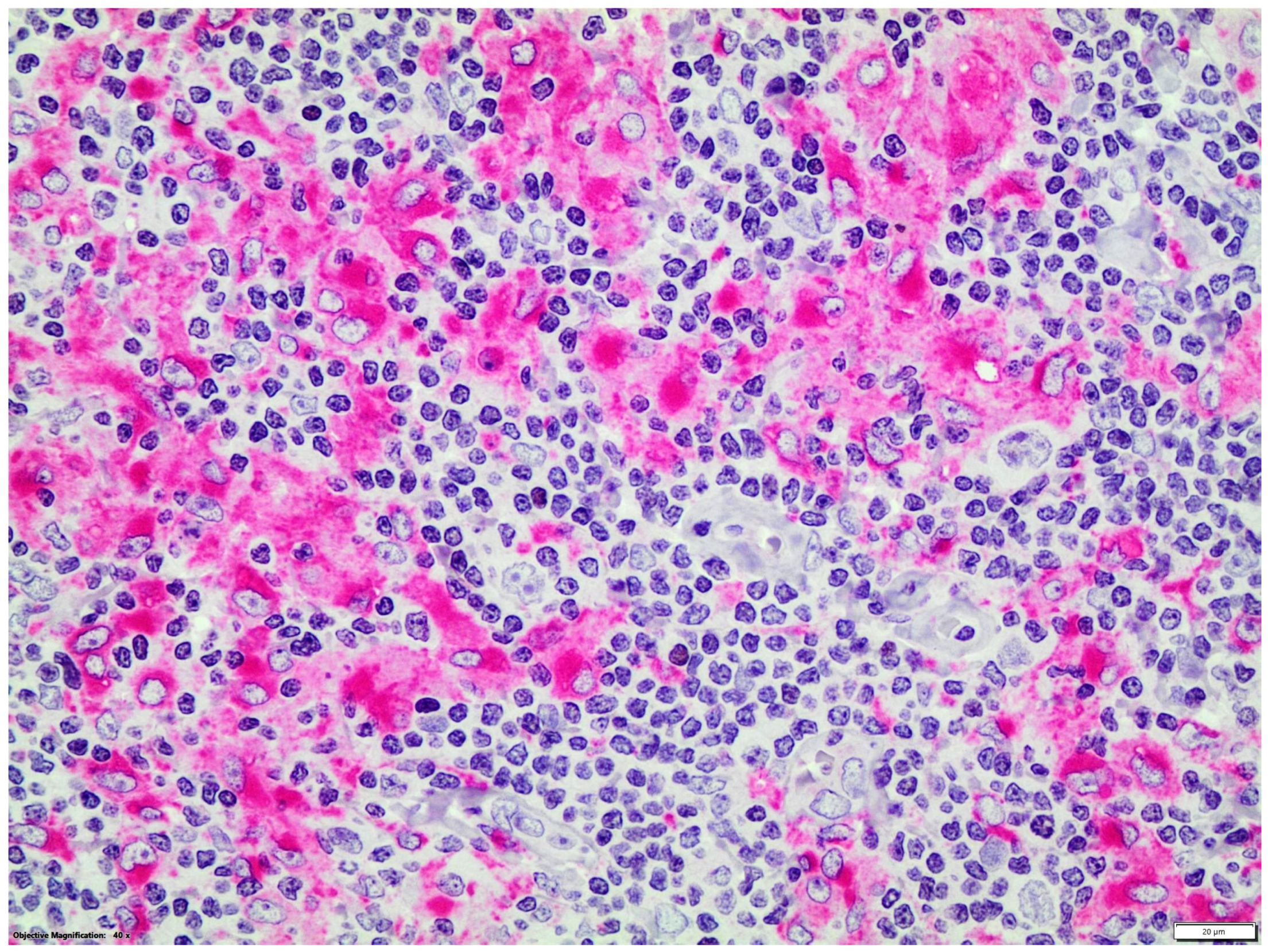 Diseases 12 00051 g003