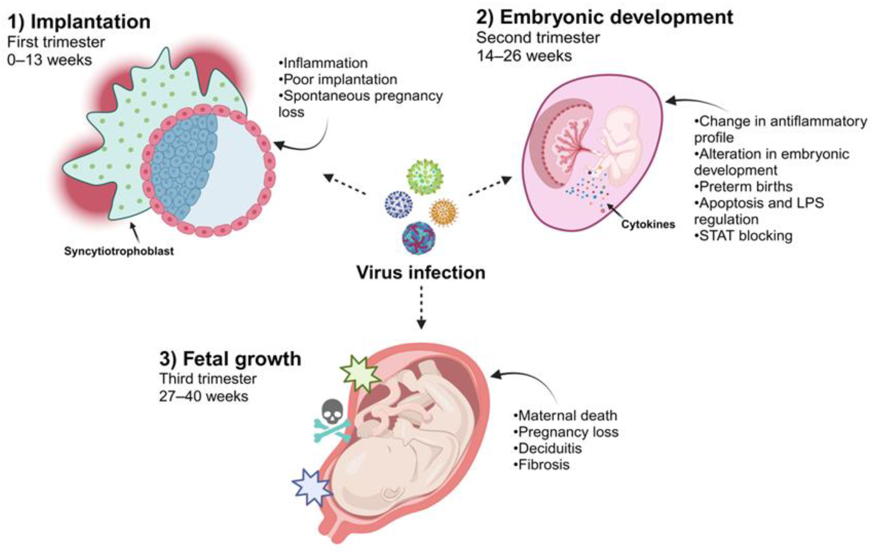 Diseases 12 00059 g002