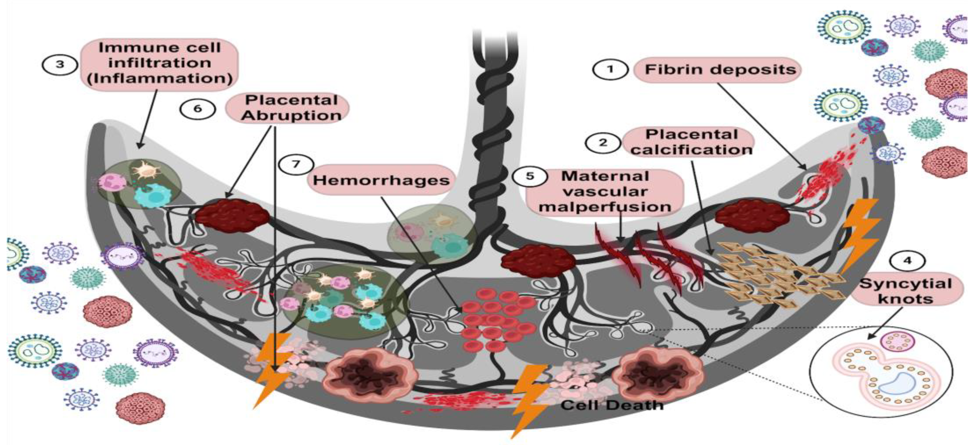 Diseases 12 00059 g003