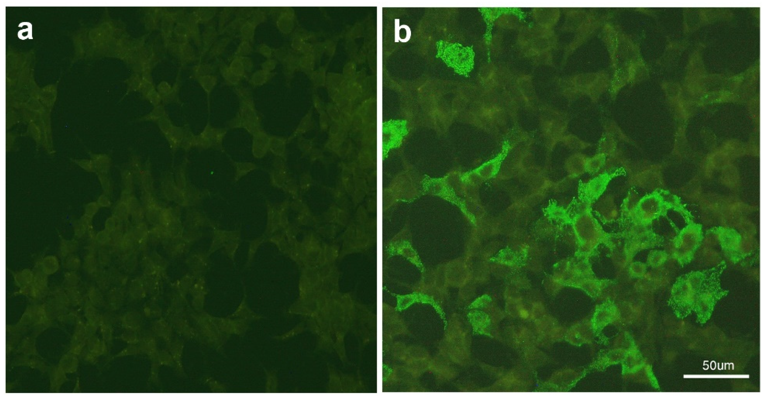 Diseases 12 00060 g003
