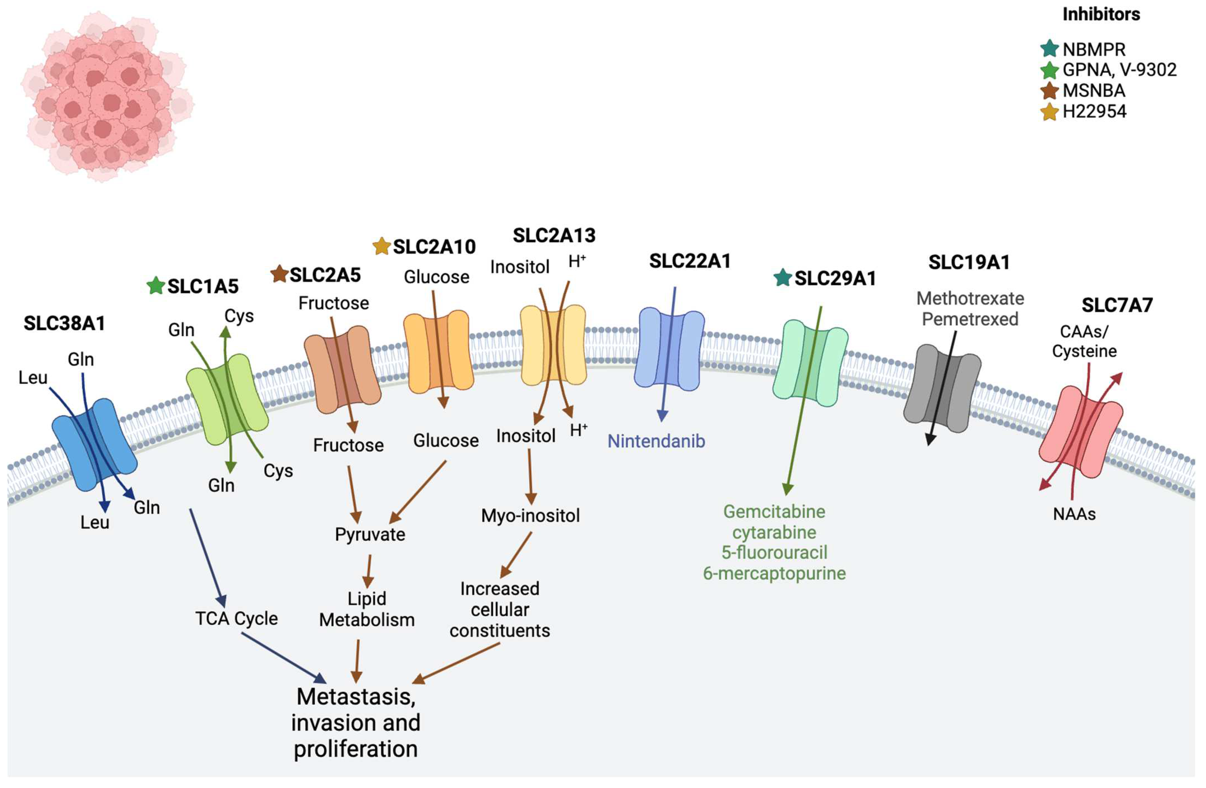 Diseases 12 00063 g003