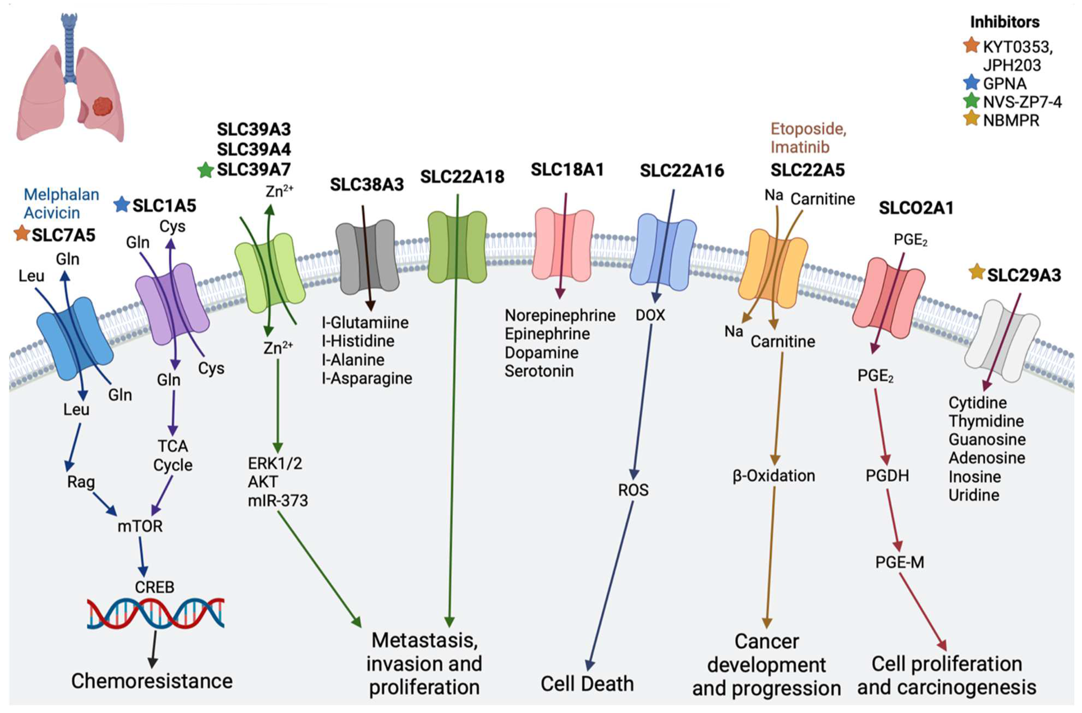 Diseases 12 00063 g005