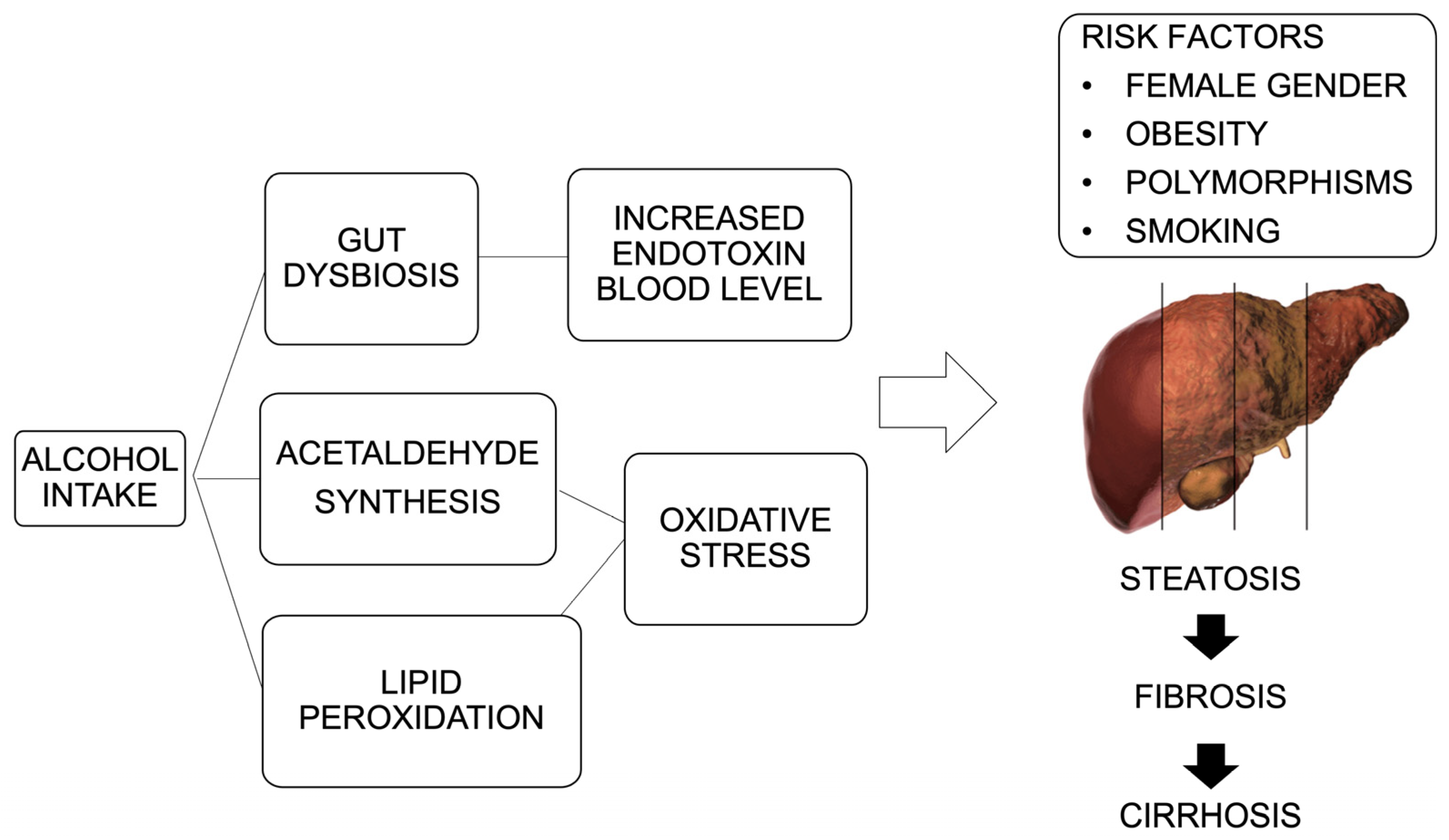 Diseases 12 00069 g001
