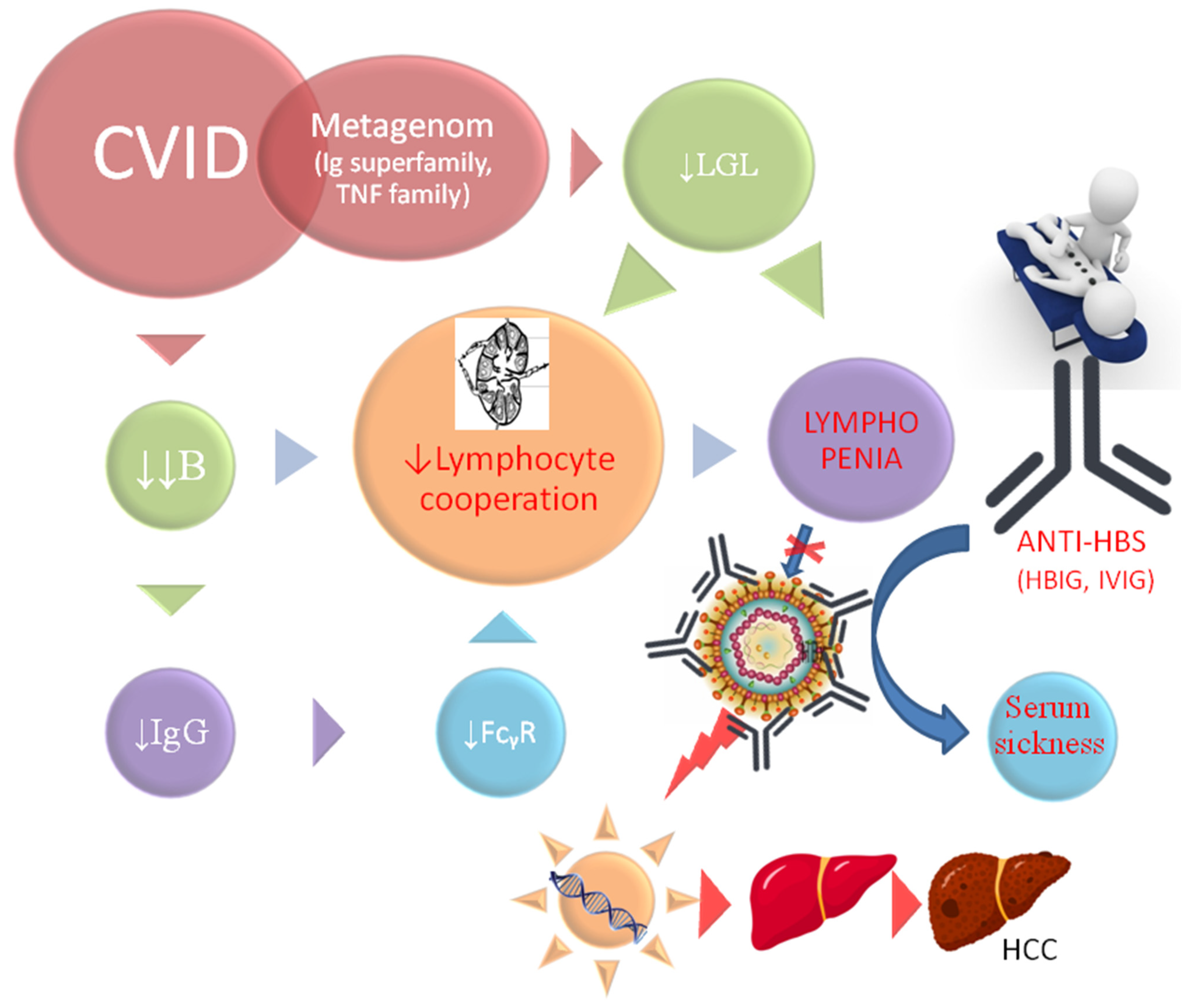 Diseases 12 00080 g003