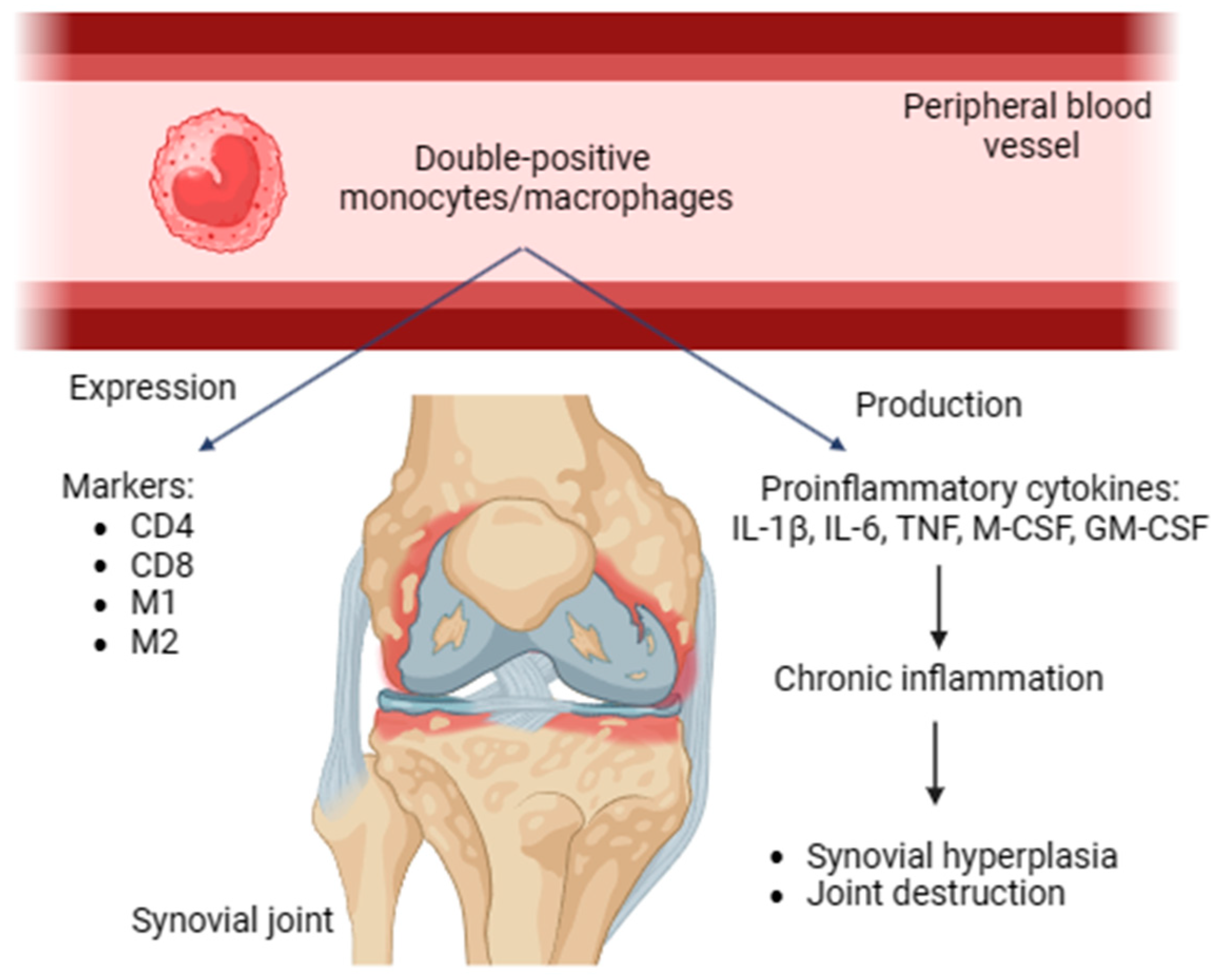 Diseases 12 00081 g001