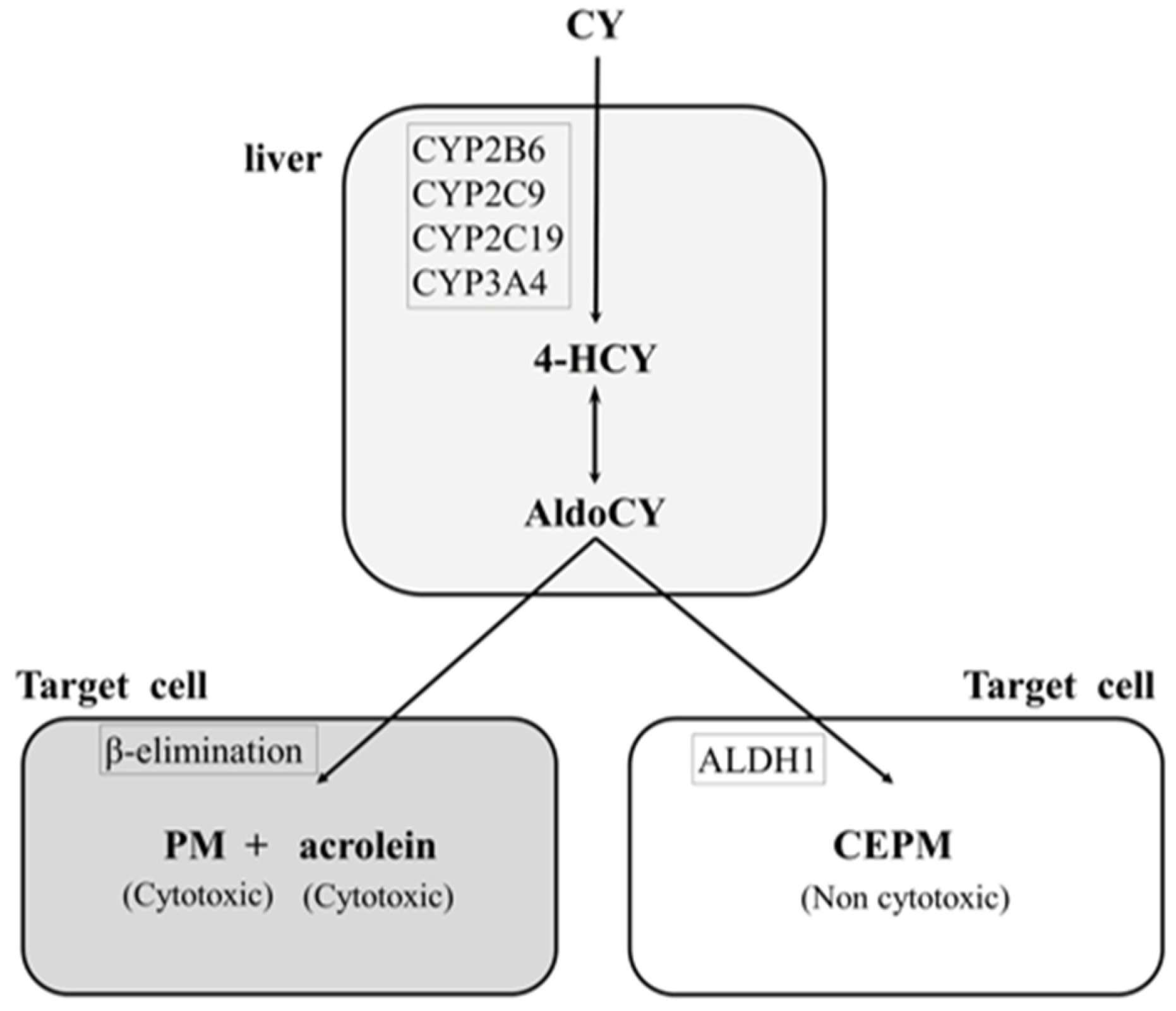 Diseases 12 00085 g001