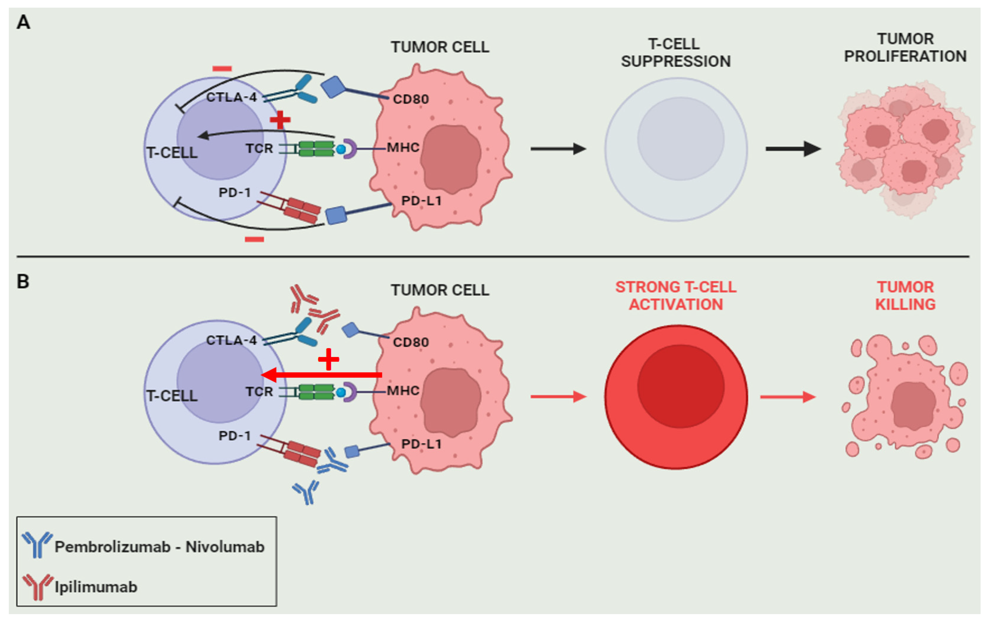 Diseases 12 00087 g003