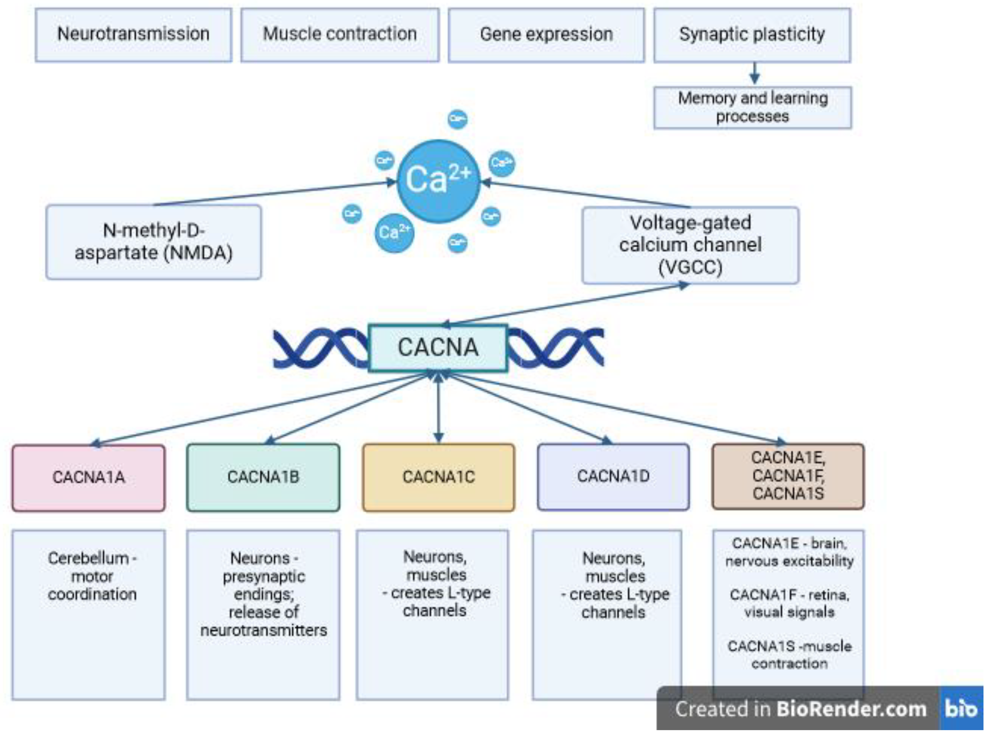 Diseases 12 00090 g001