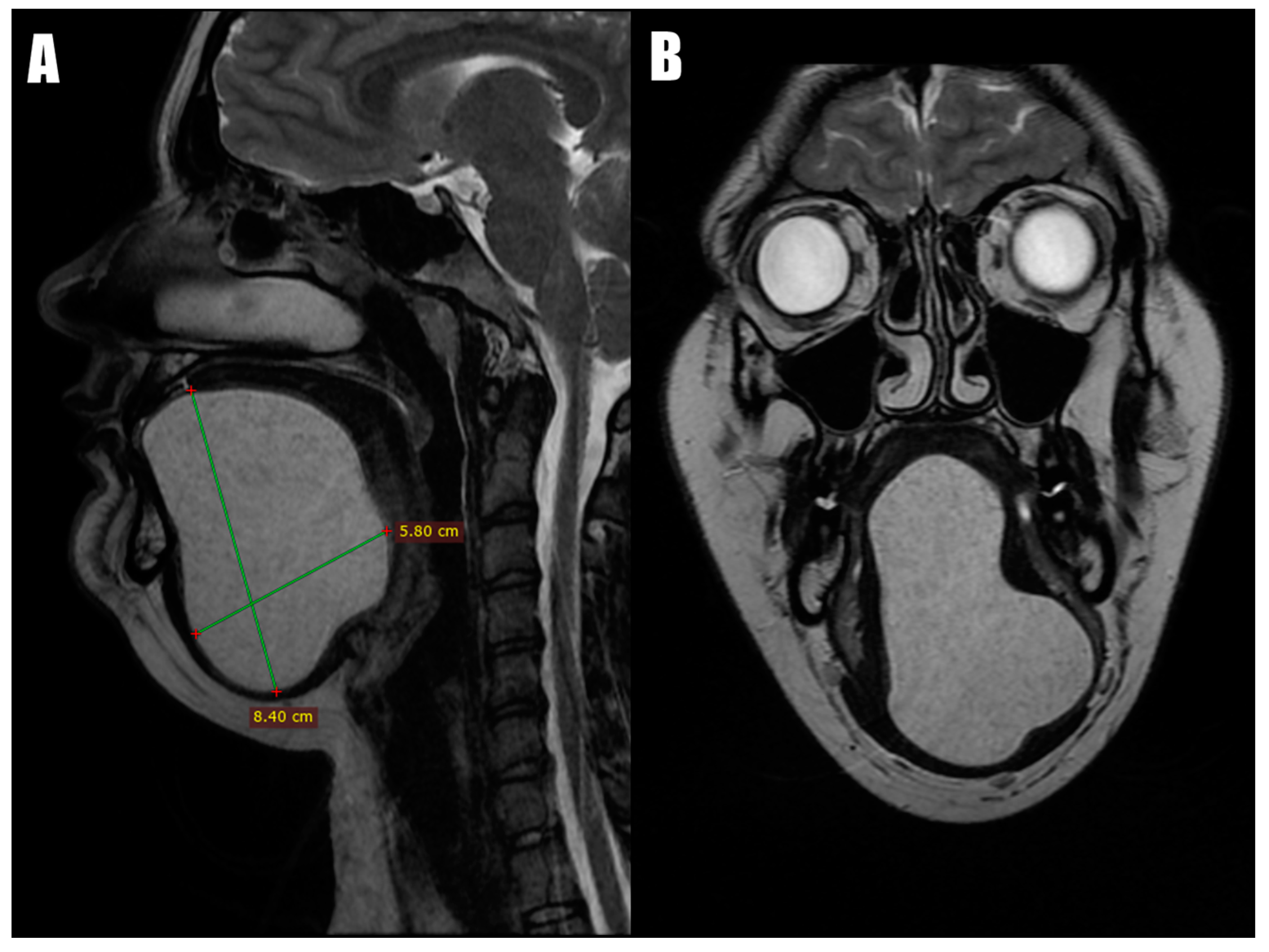 Diseases 12 00091 g002