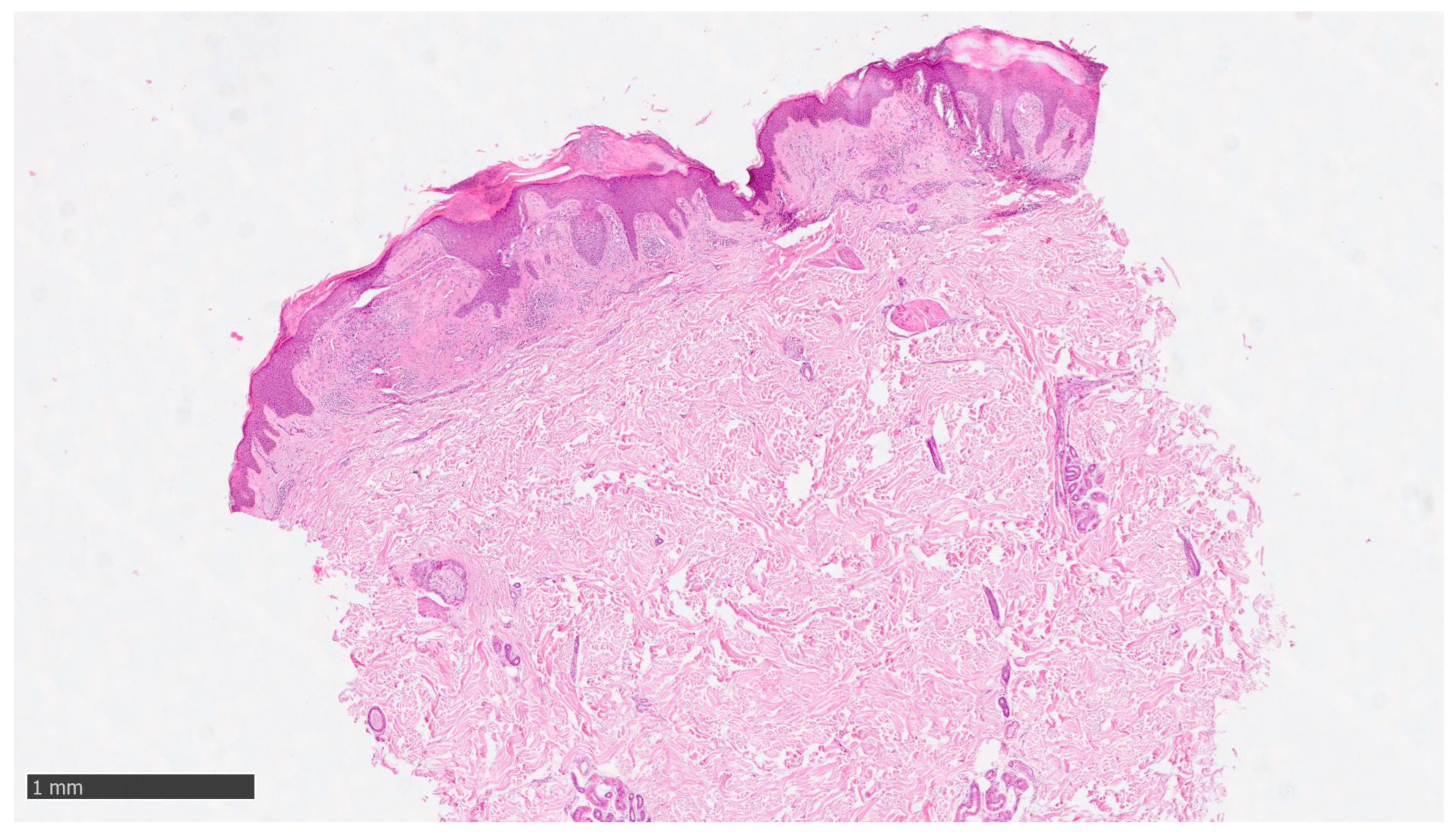 Diseases 12 00094 g003