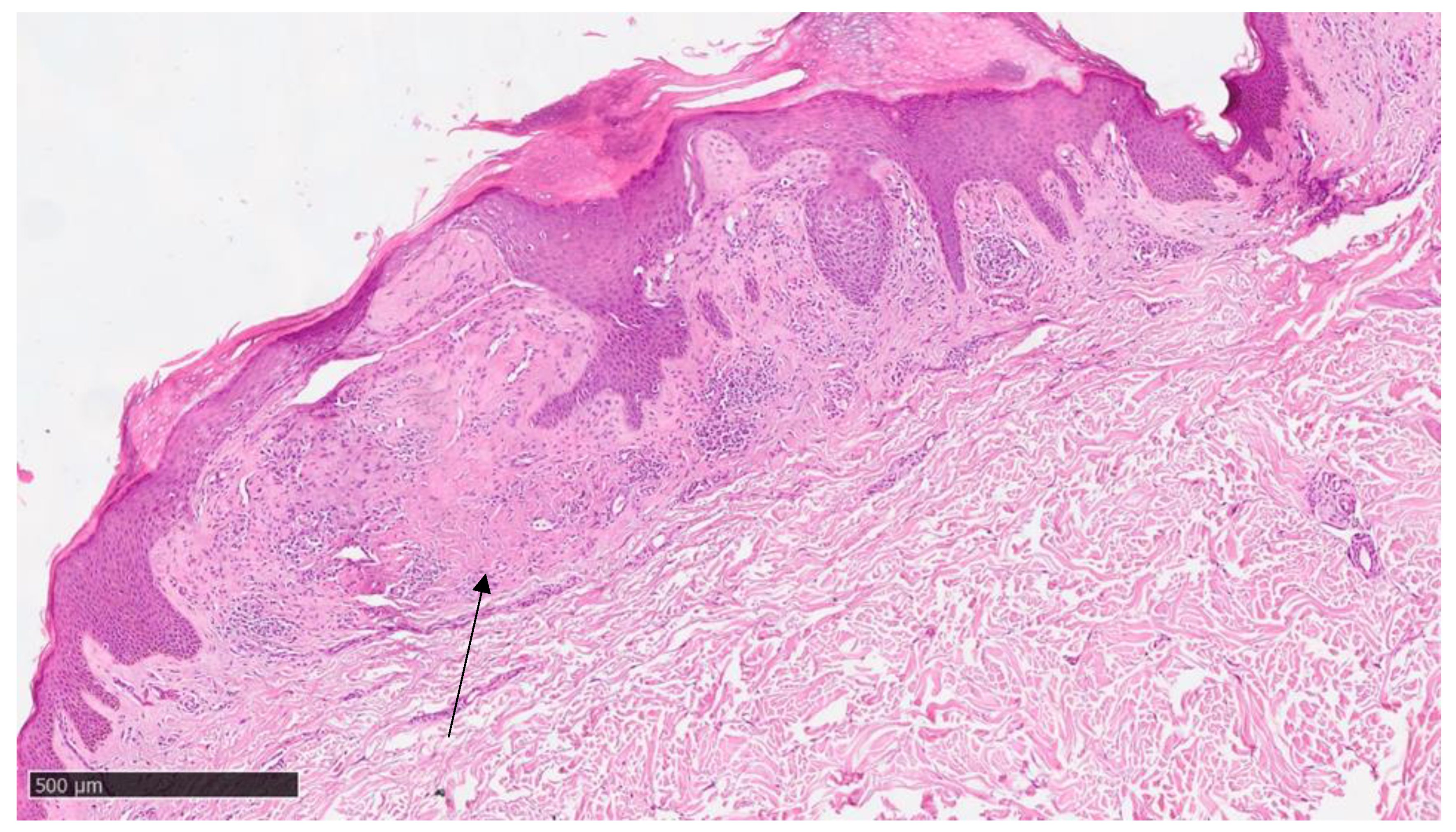 Diseases 12 00094 g004