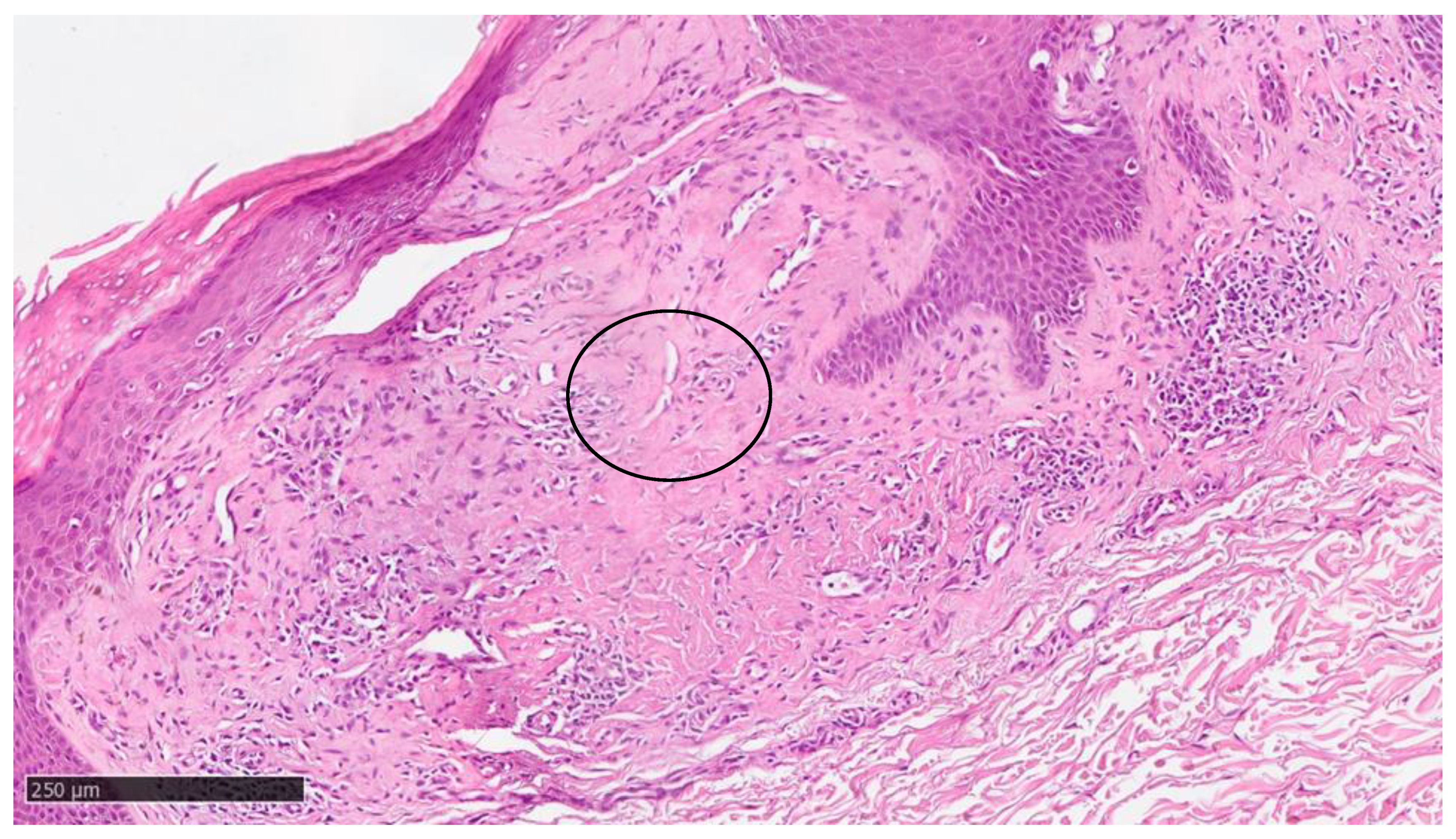 Diseases 12 00094 g005