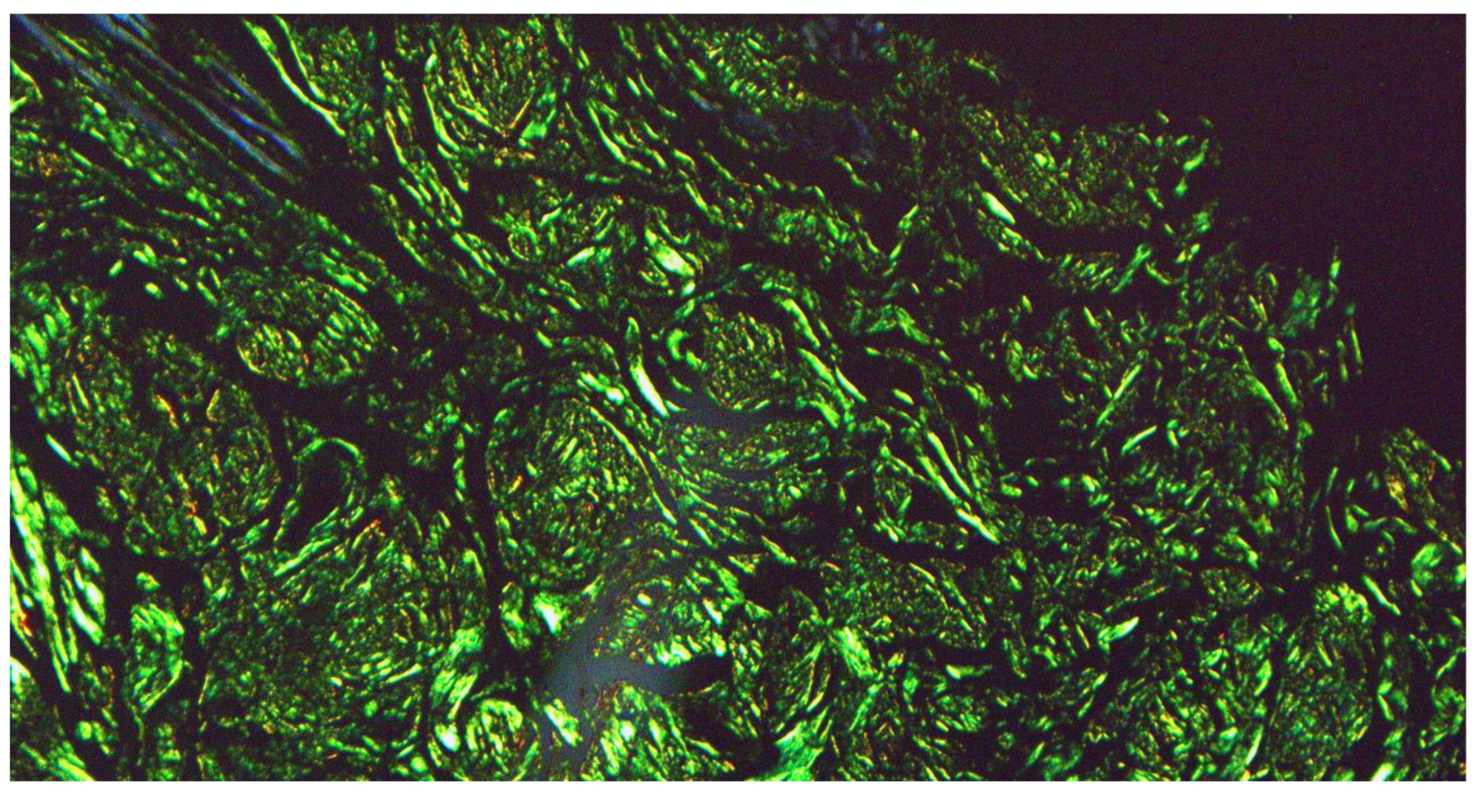 Diseases 12 00094 g006