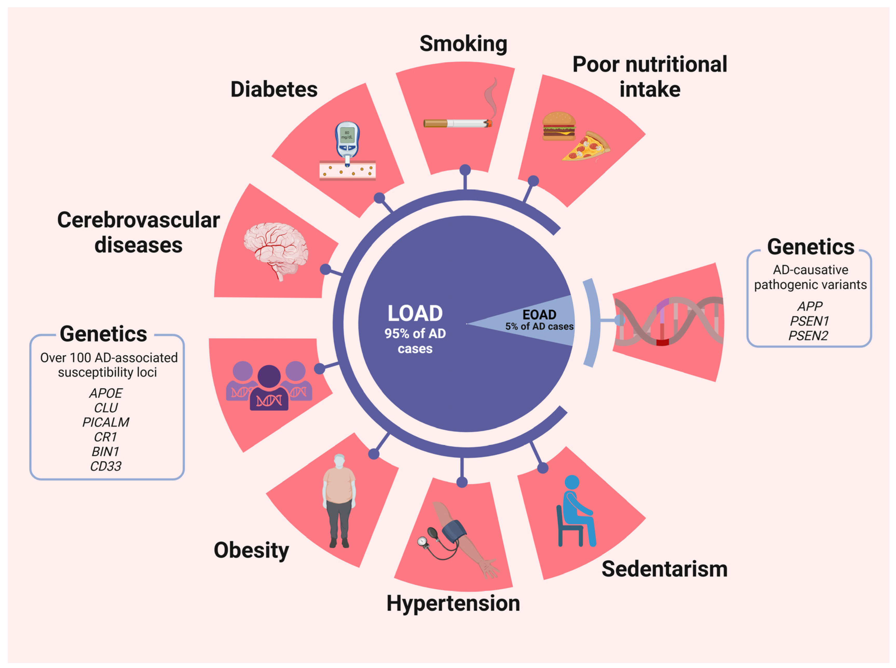 Diseases 12 00110 g001