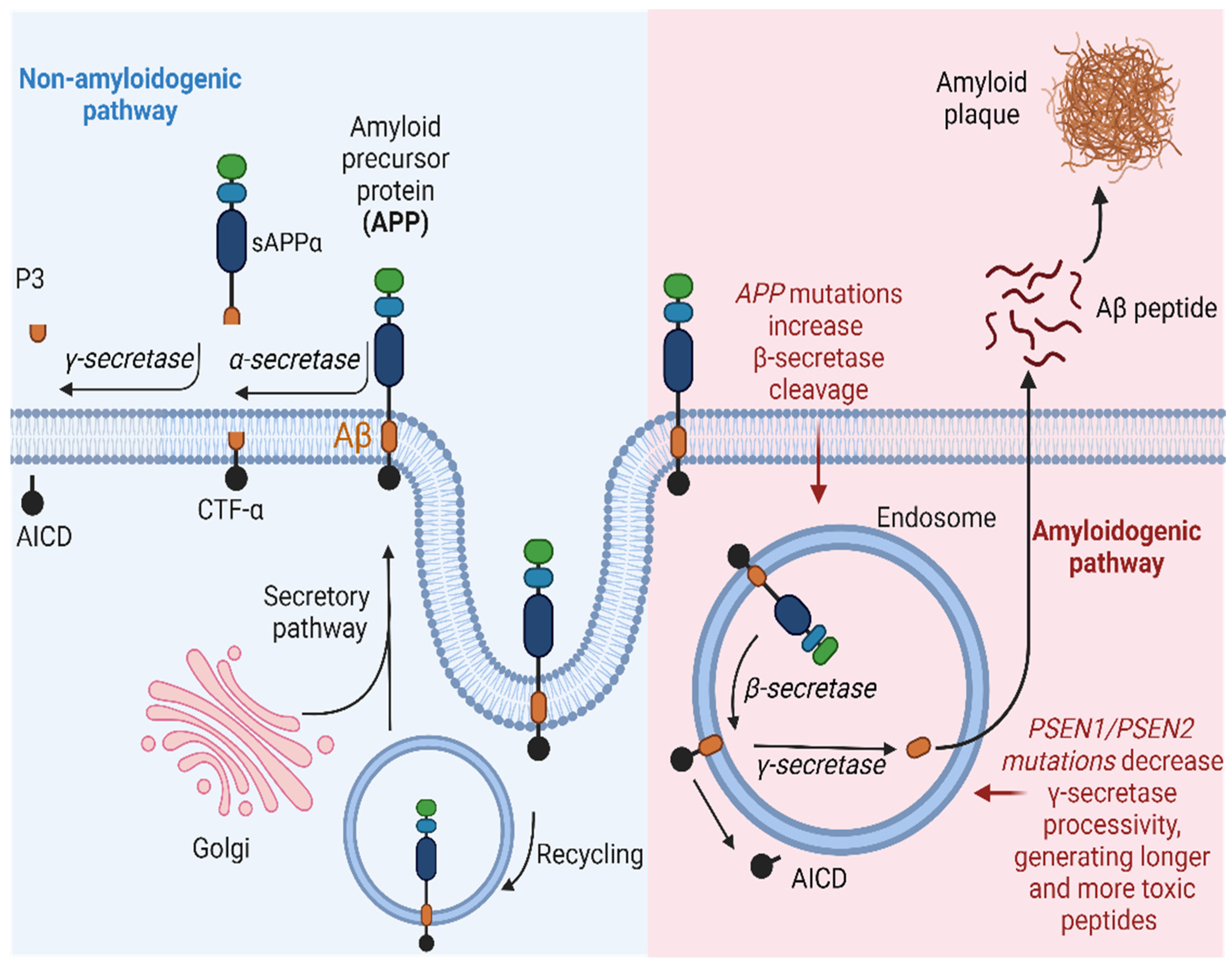 Diseases 12 00110 g003