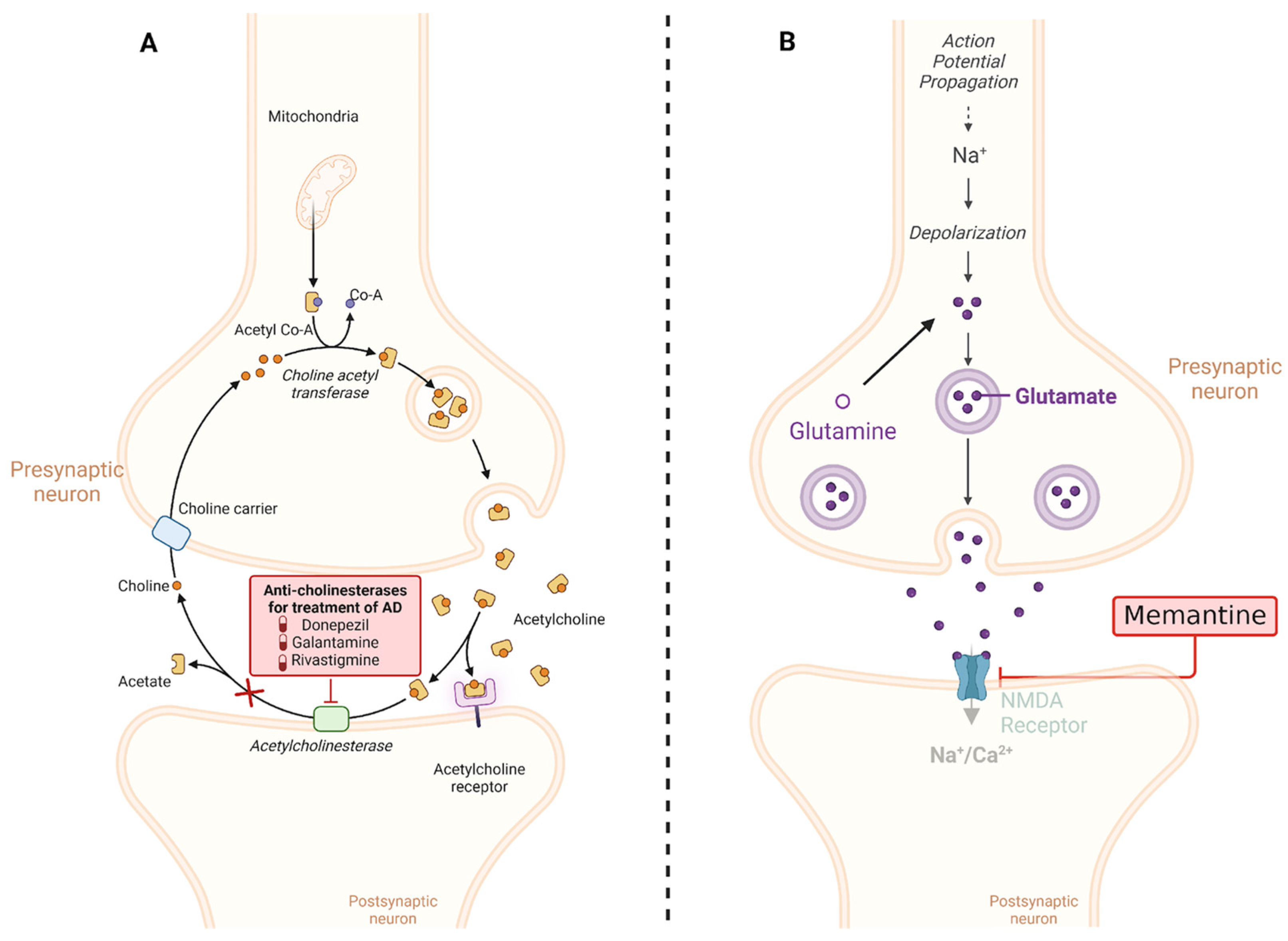 Diseases 12 00110 g004