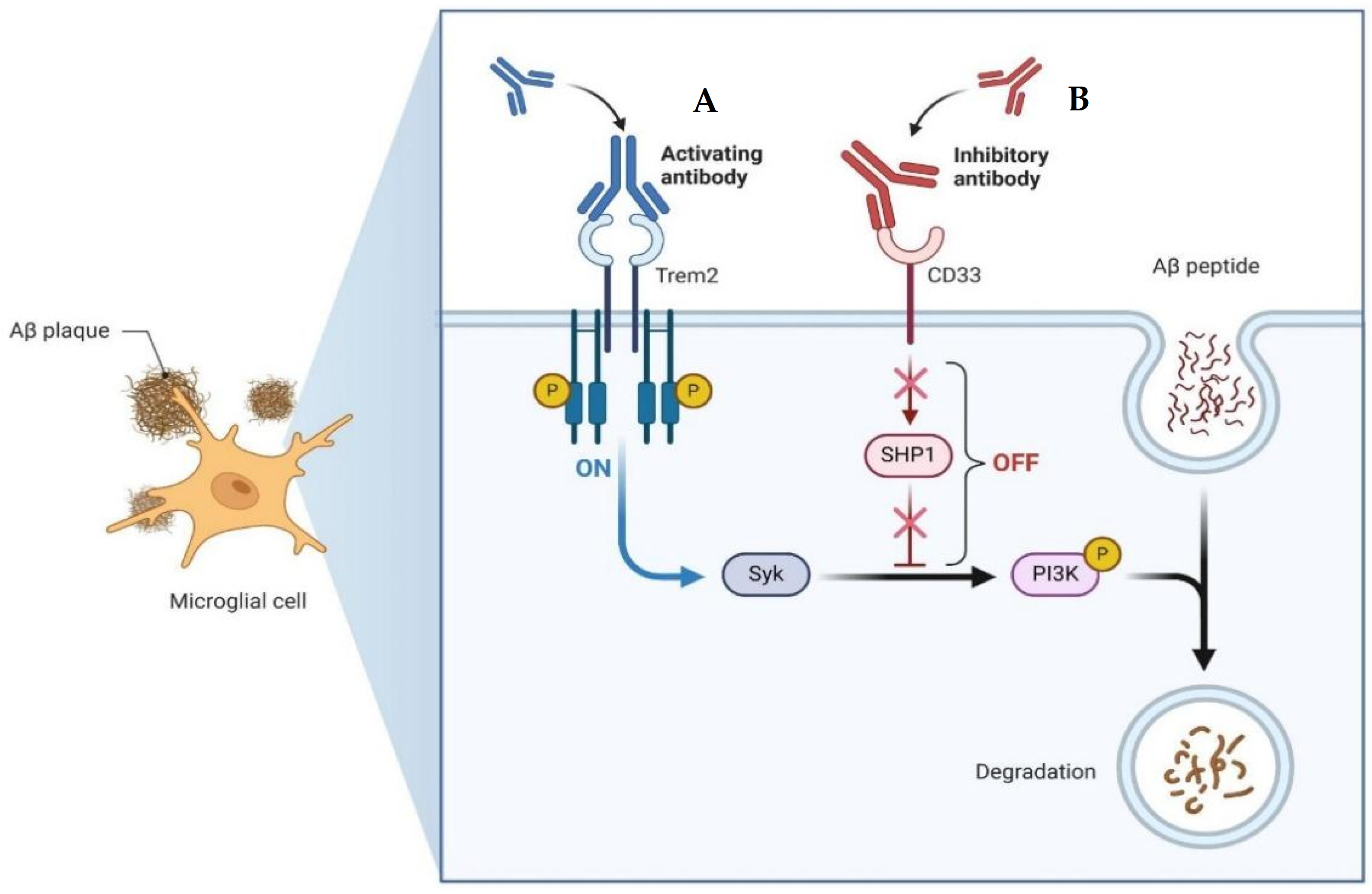 Diseases 12 00110 g005