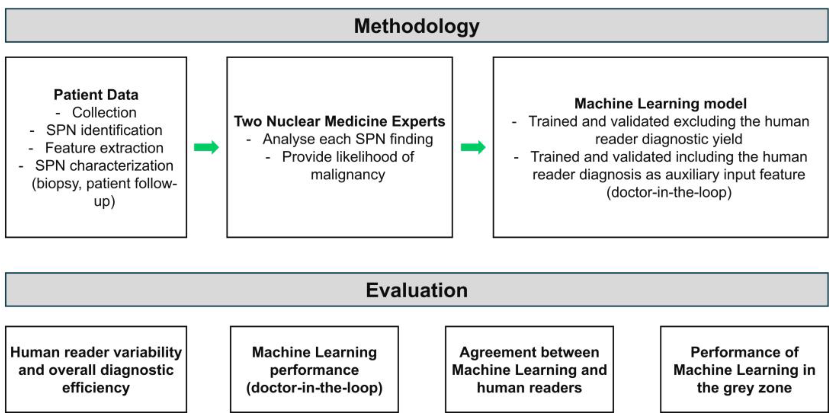 Diseases 12 00115 g001