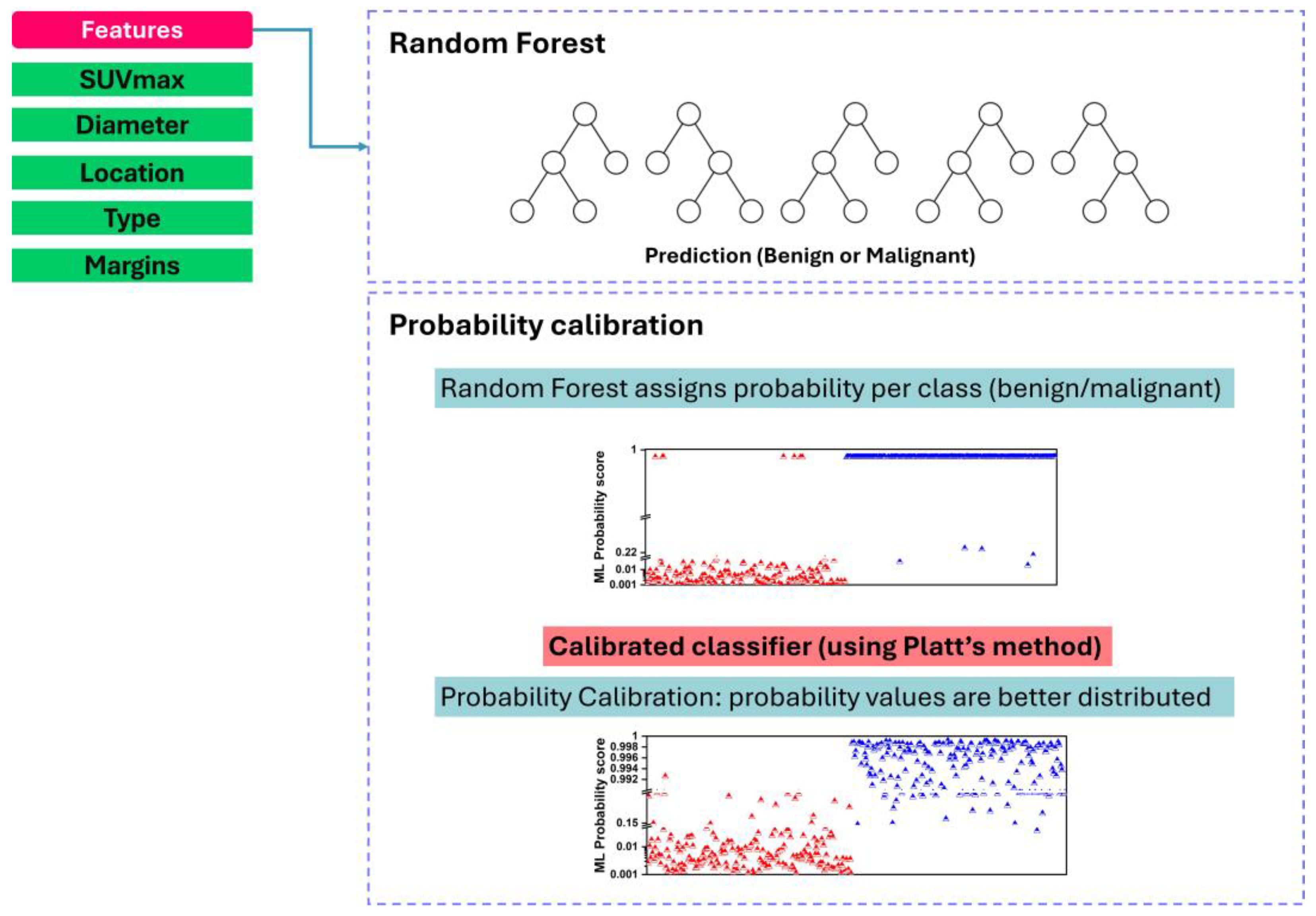 Diseases 12 00115 g002