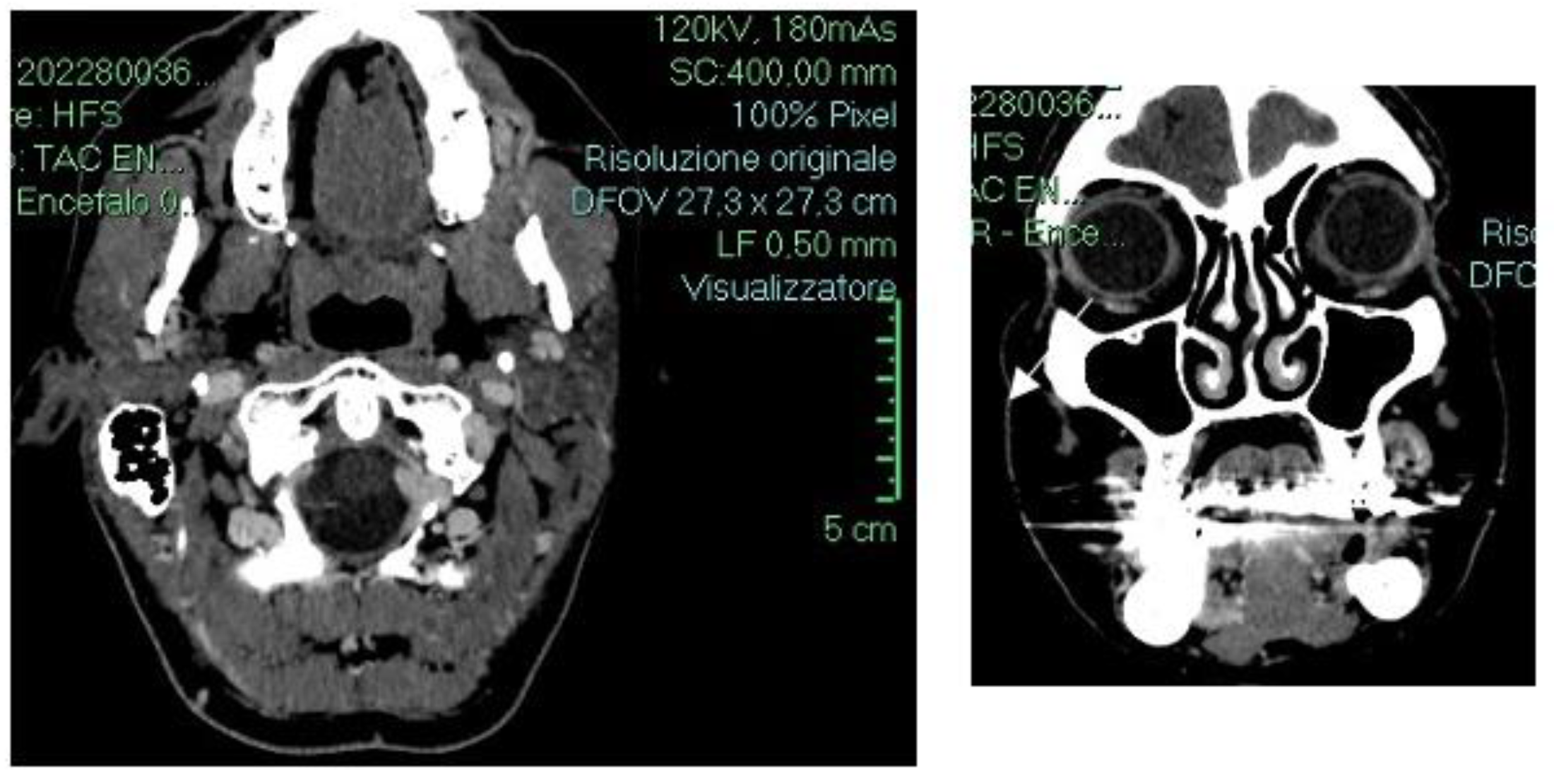 Diseases 12 00117 g003