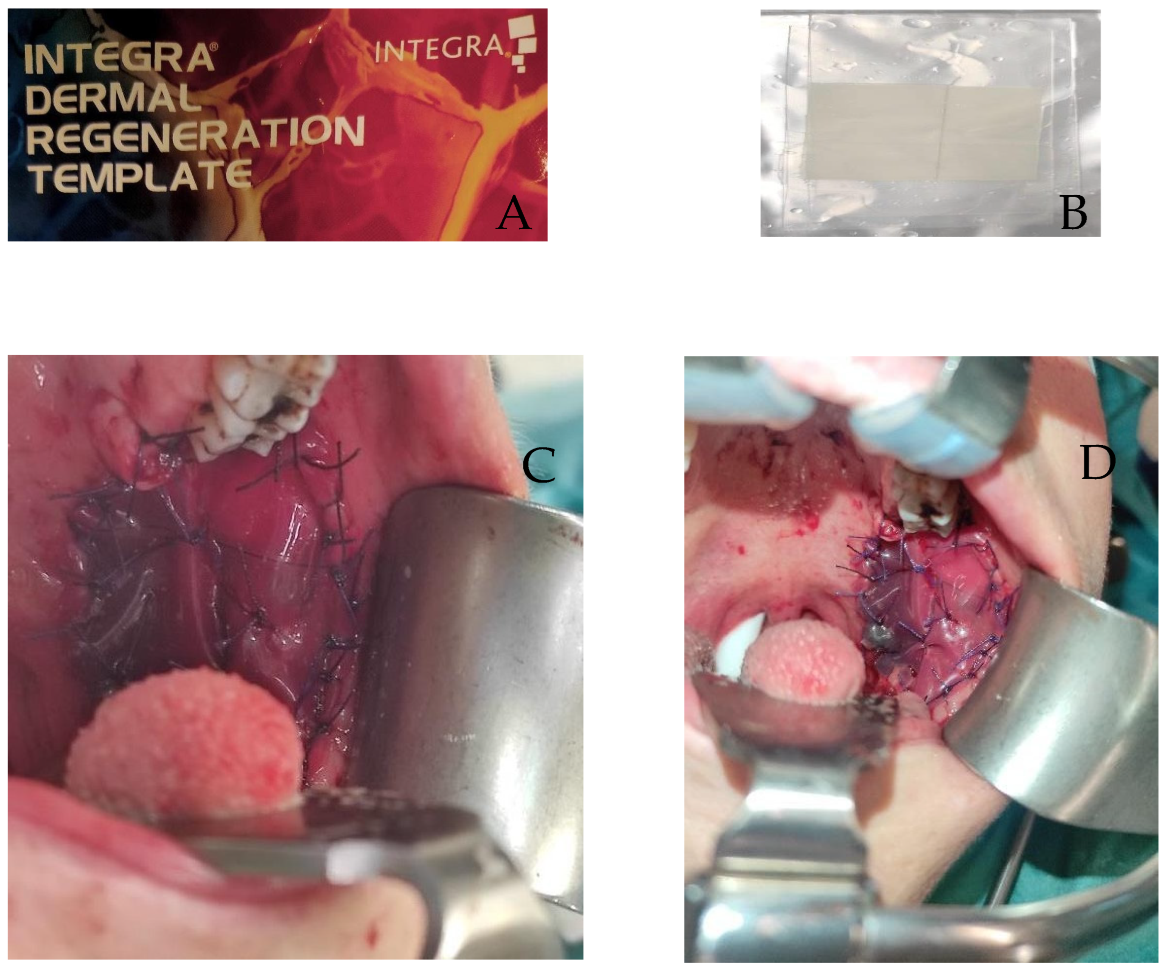 Diseases 12 00117 g005