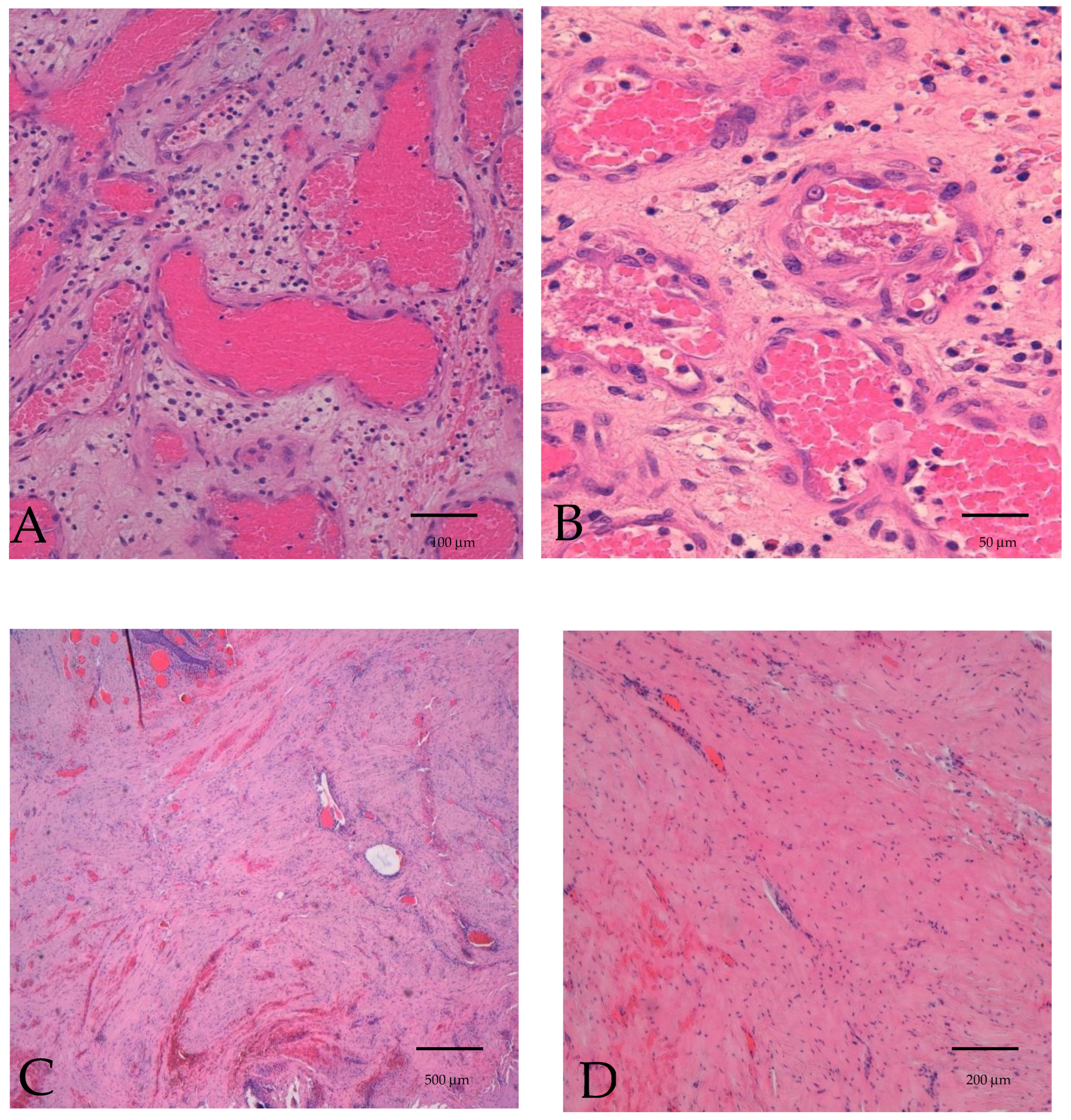 Diseases 12 00117 g006