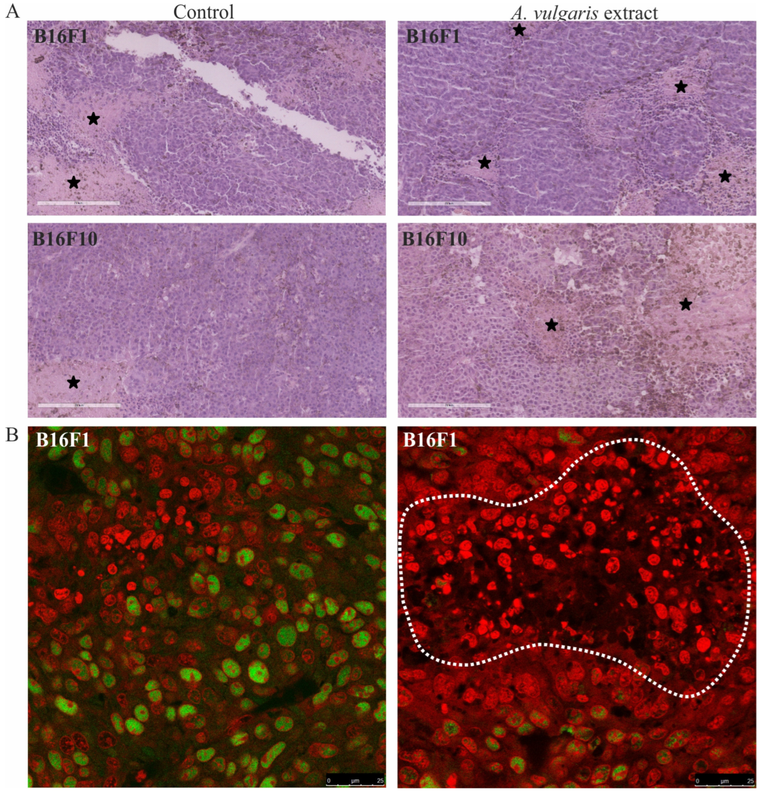 Diseases 12 00125 g003