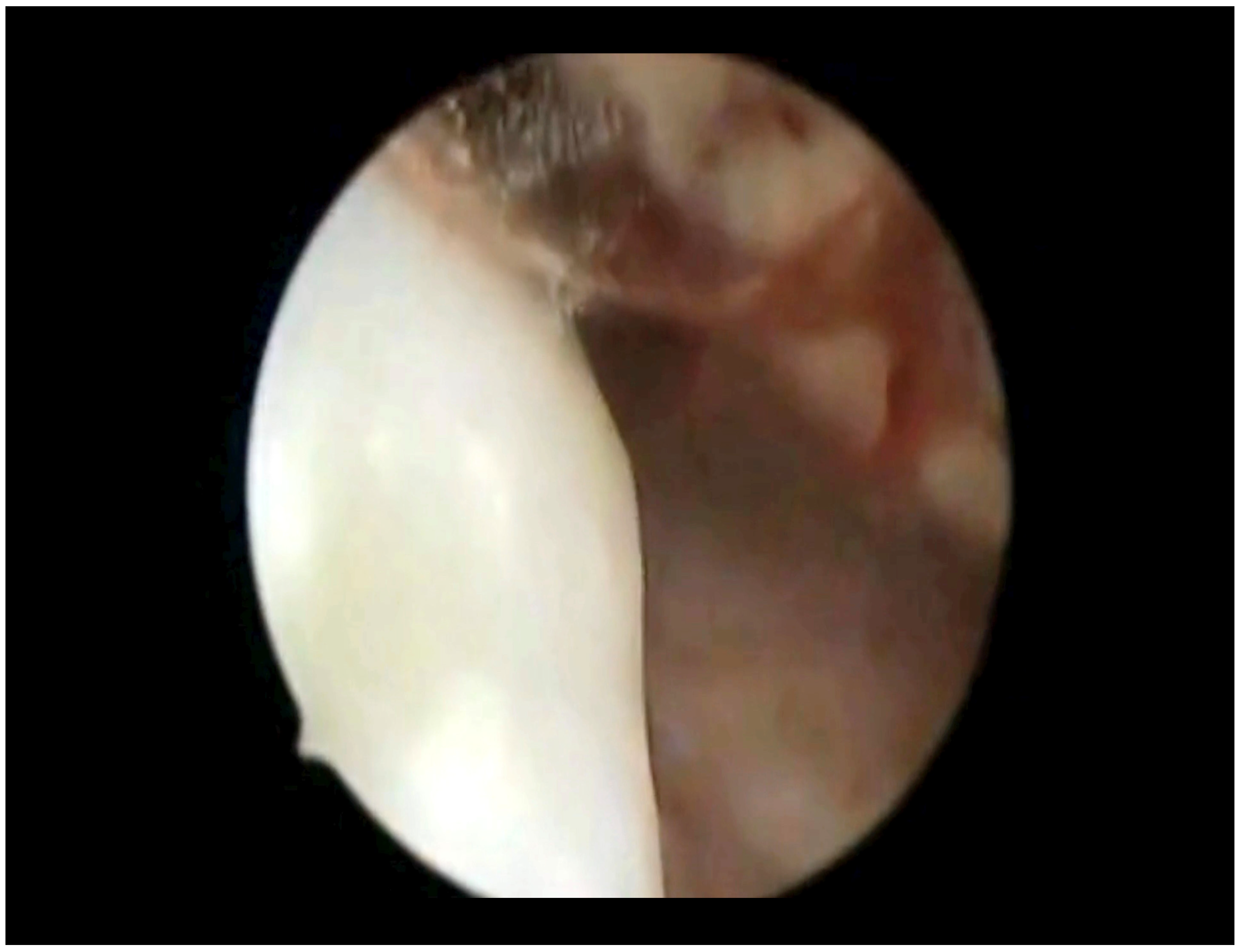 Diseases 12 00126 g001