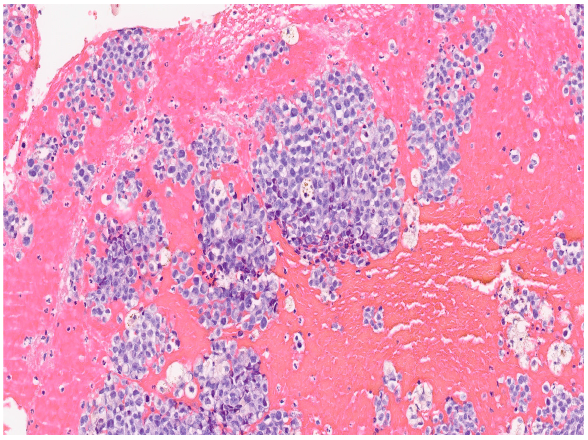 Diseases 12 00126 g002