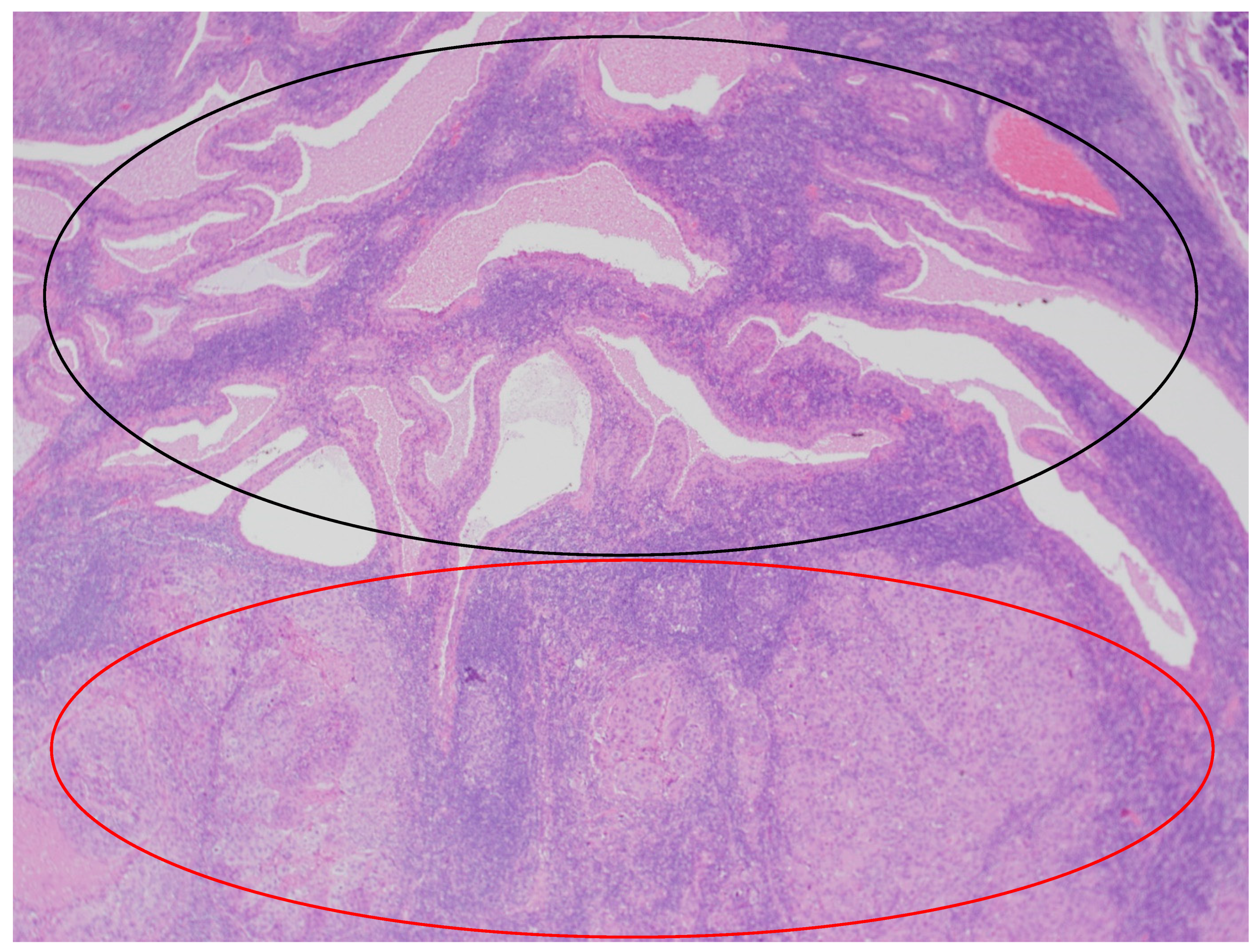 Diseases 12 00140 g003
