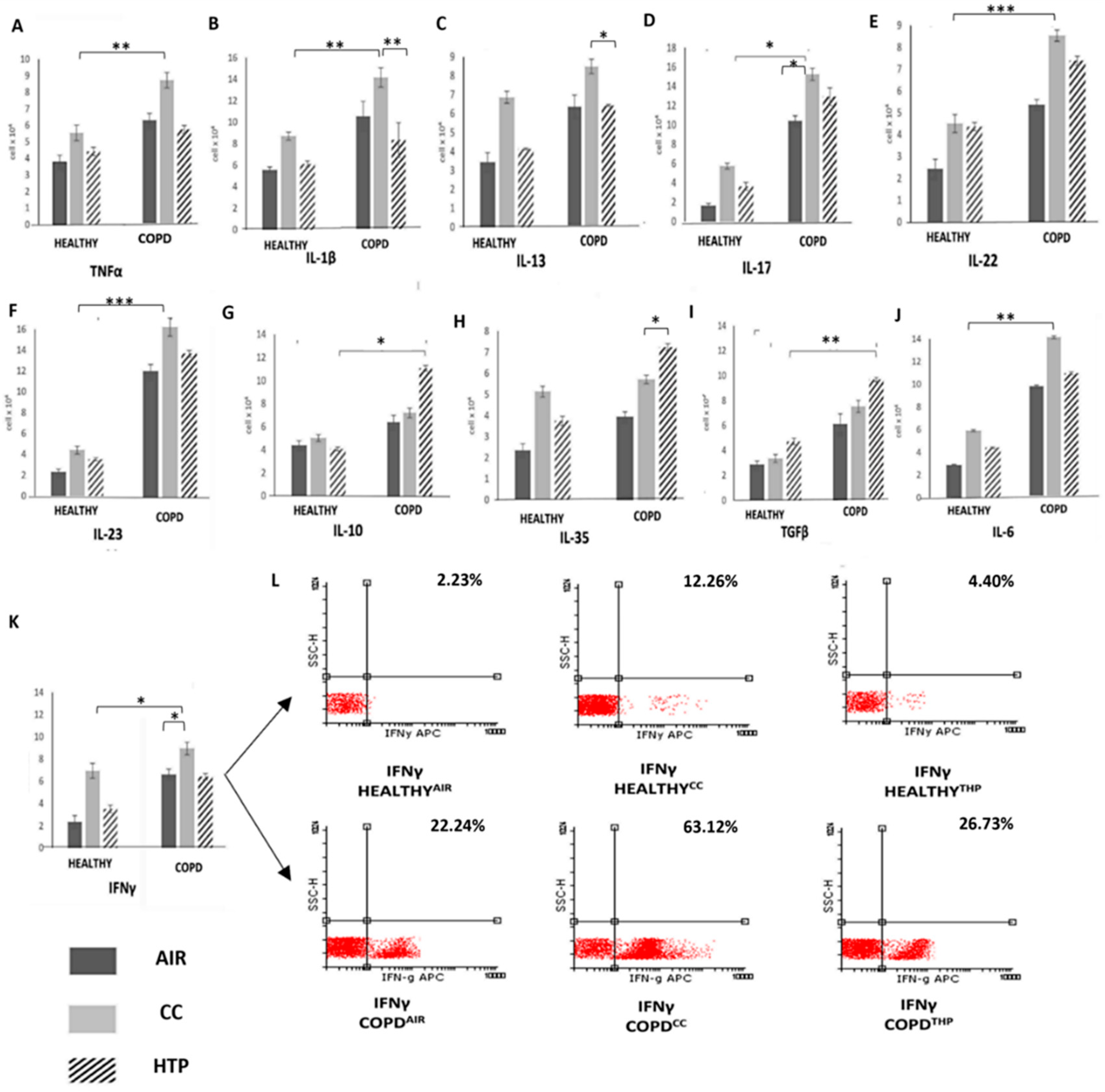 Diseases 12 00144 g001